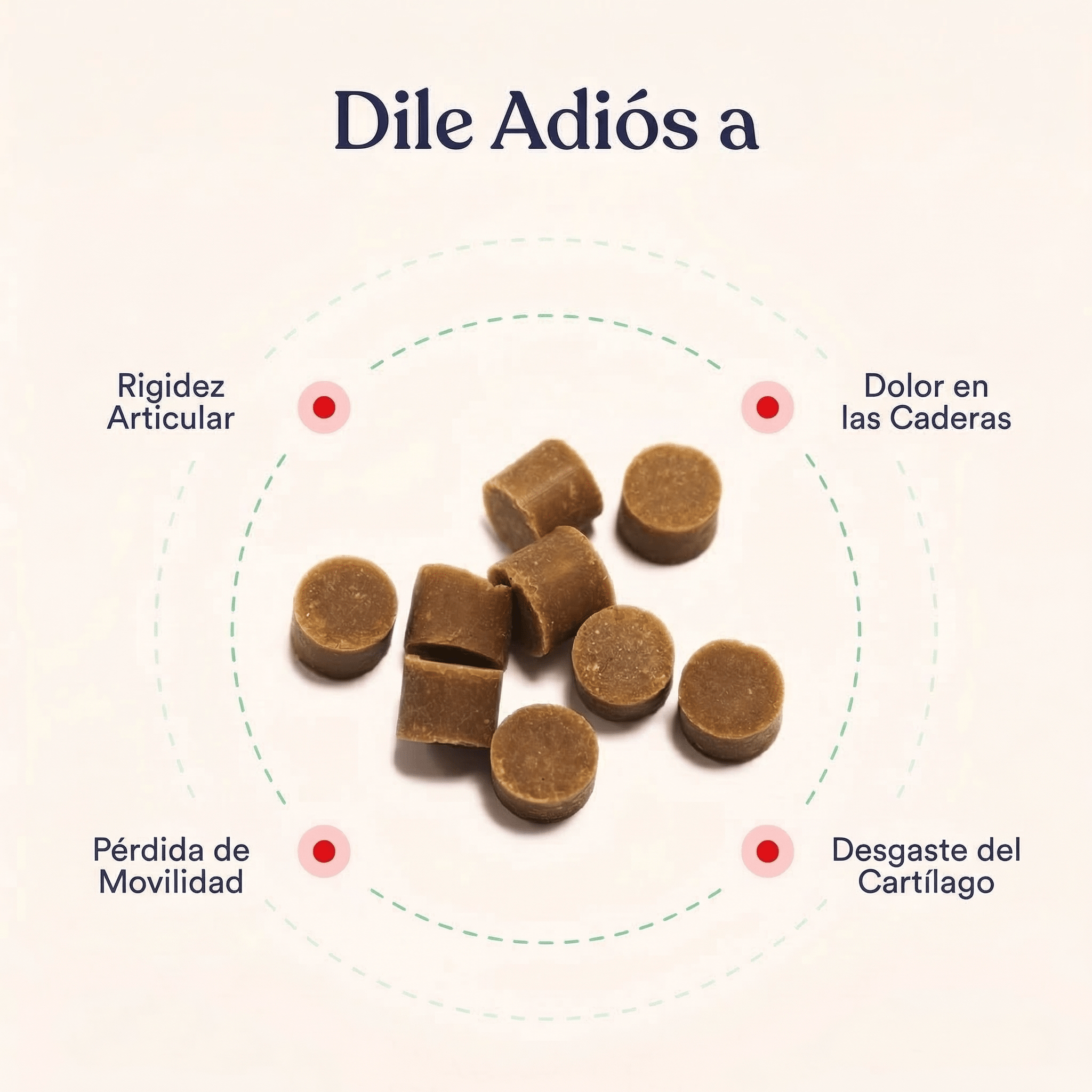 Caderas y Articulaciones - Pelvitpet
