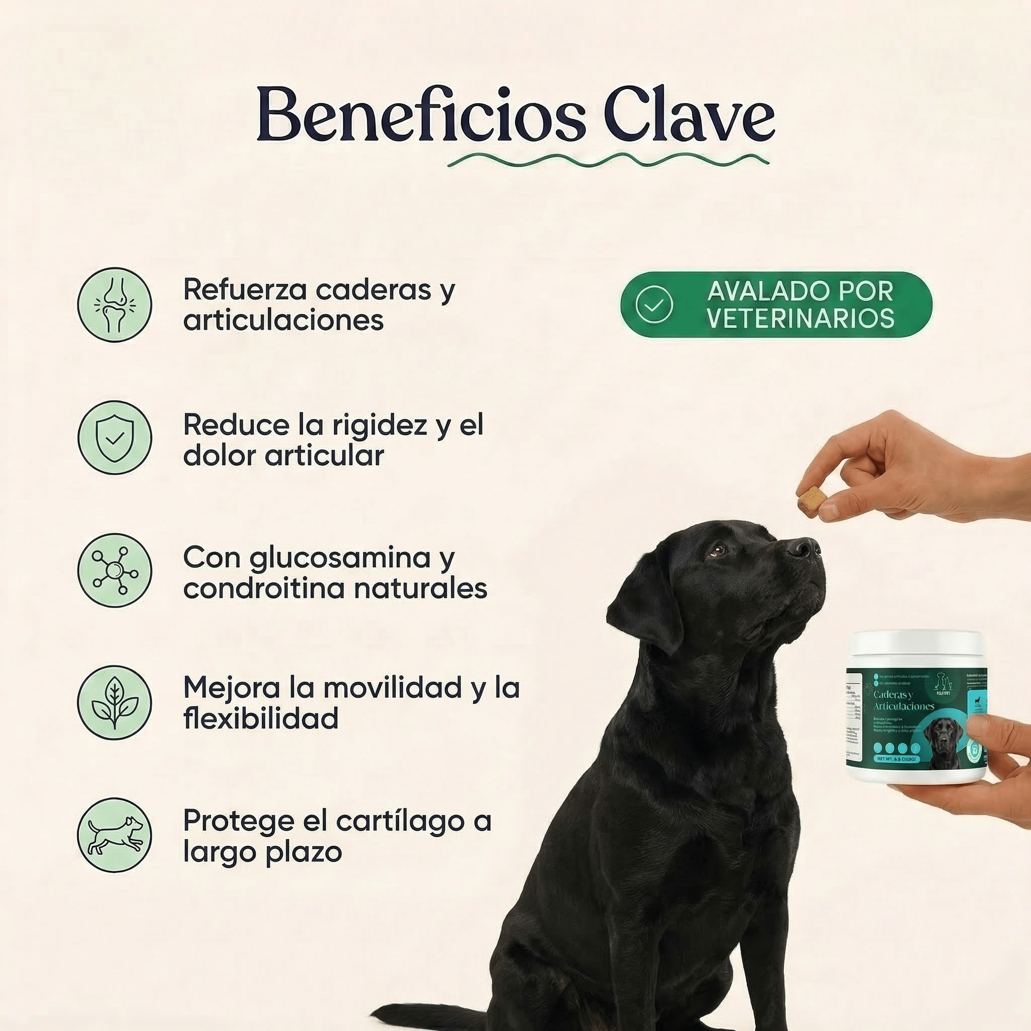 Caderas y Articulaciones - Pelvitpet