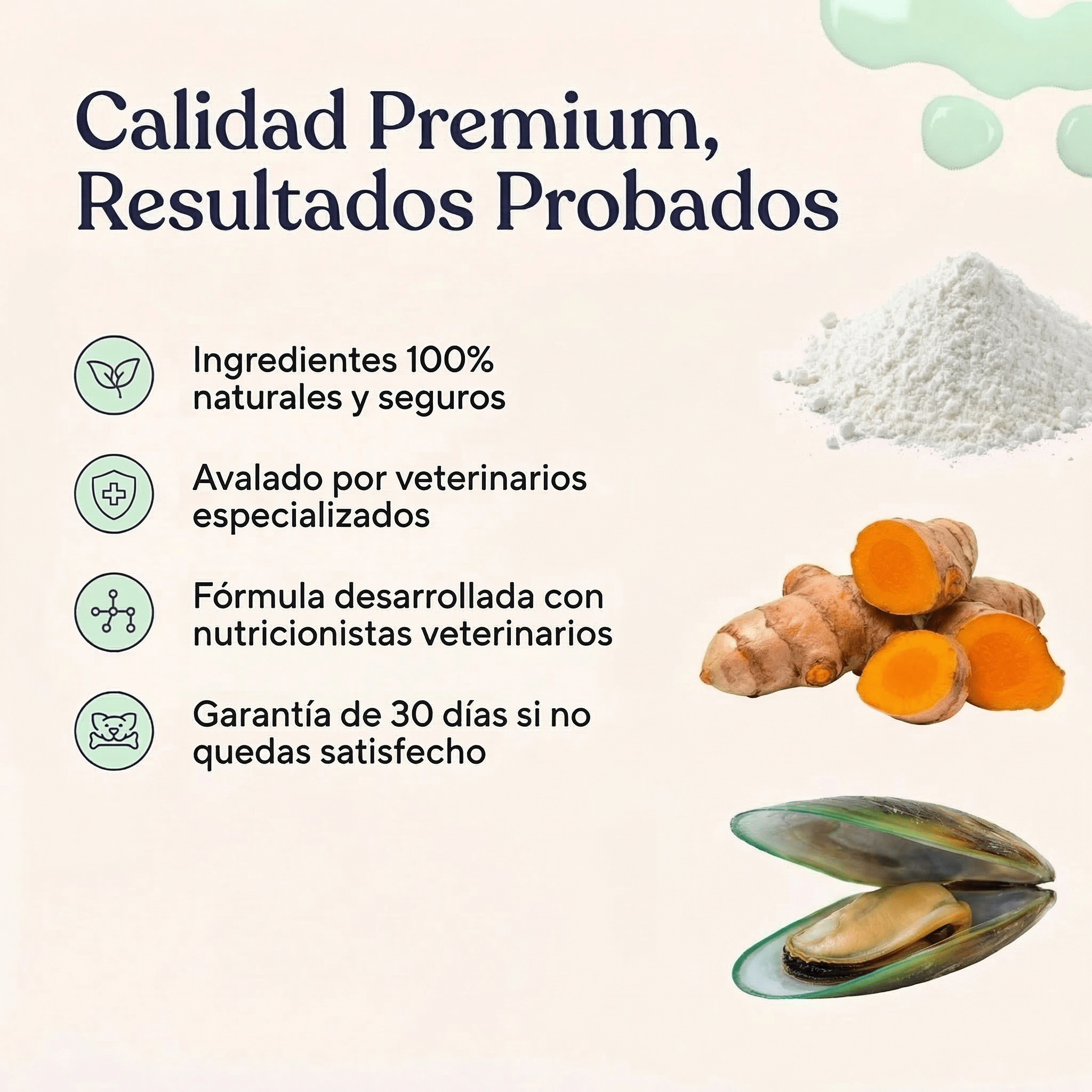 Caderas y Articulaciones - Pelvitpet