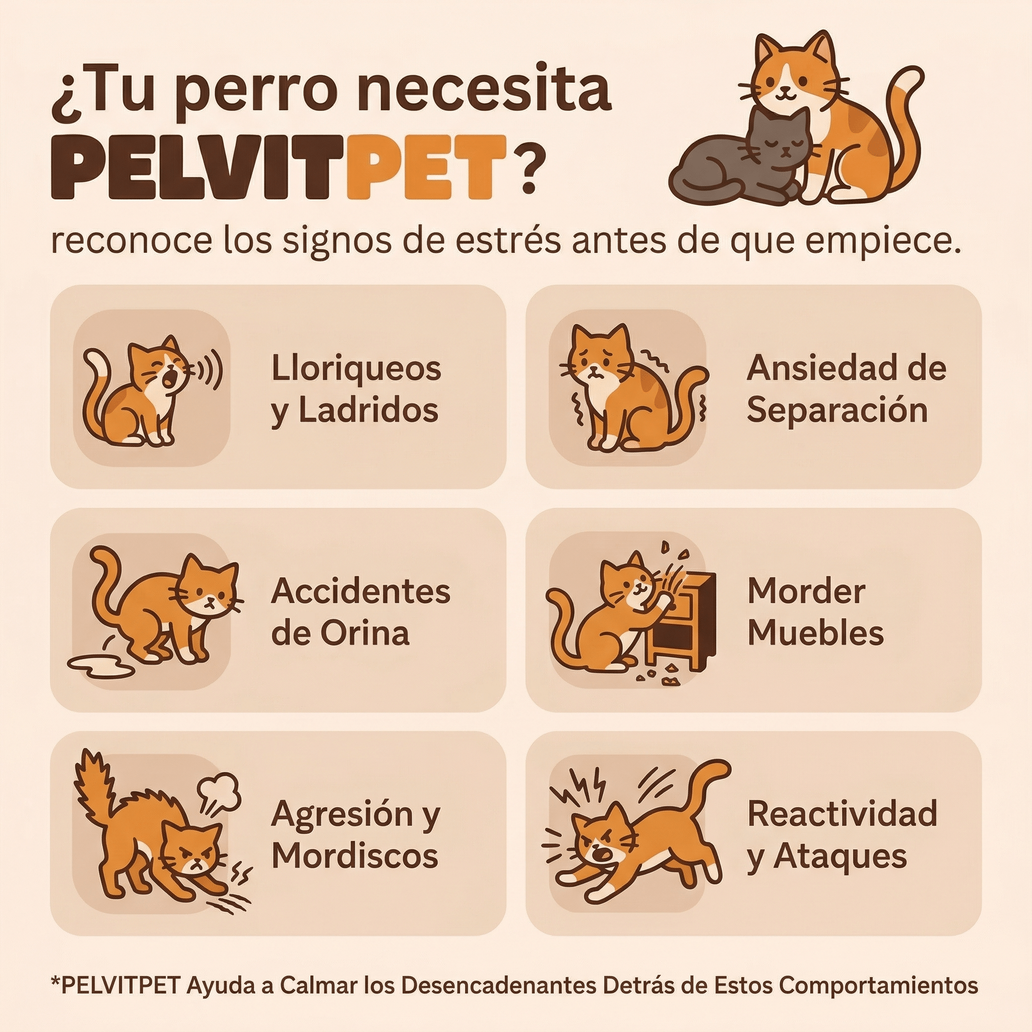 Difusor Antiestrés Pelux™ para Gatos - Pelvitpet