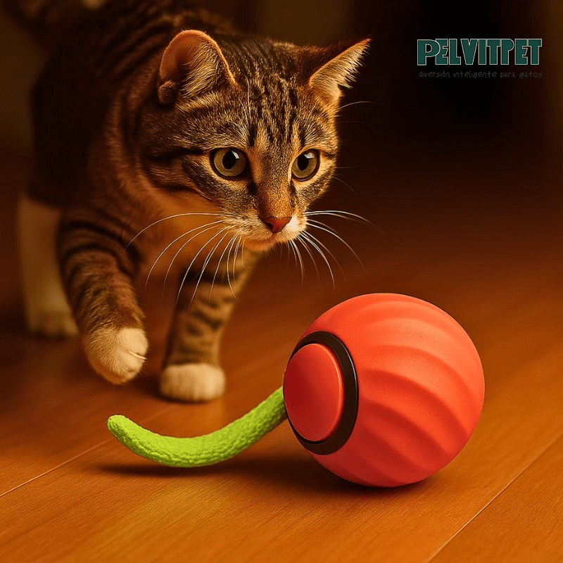 GatoBall™ - El Juguete que Juega Solo - Pelvitpet