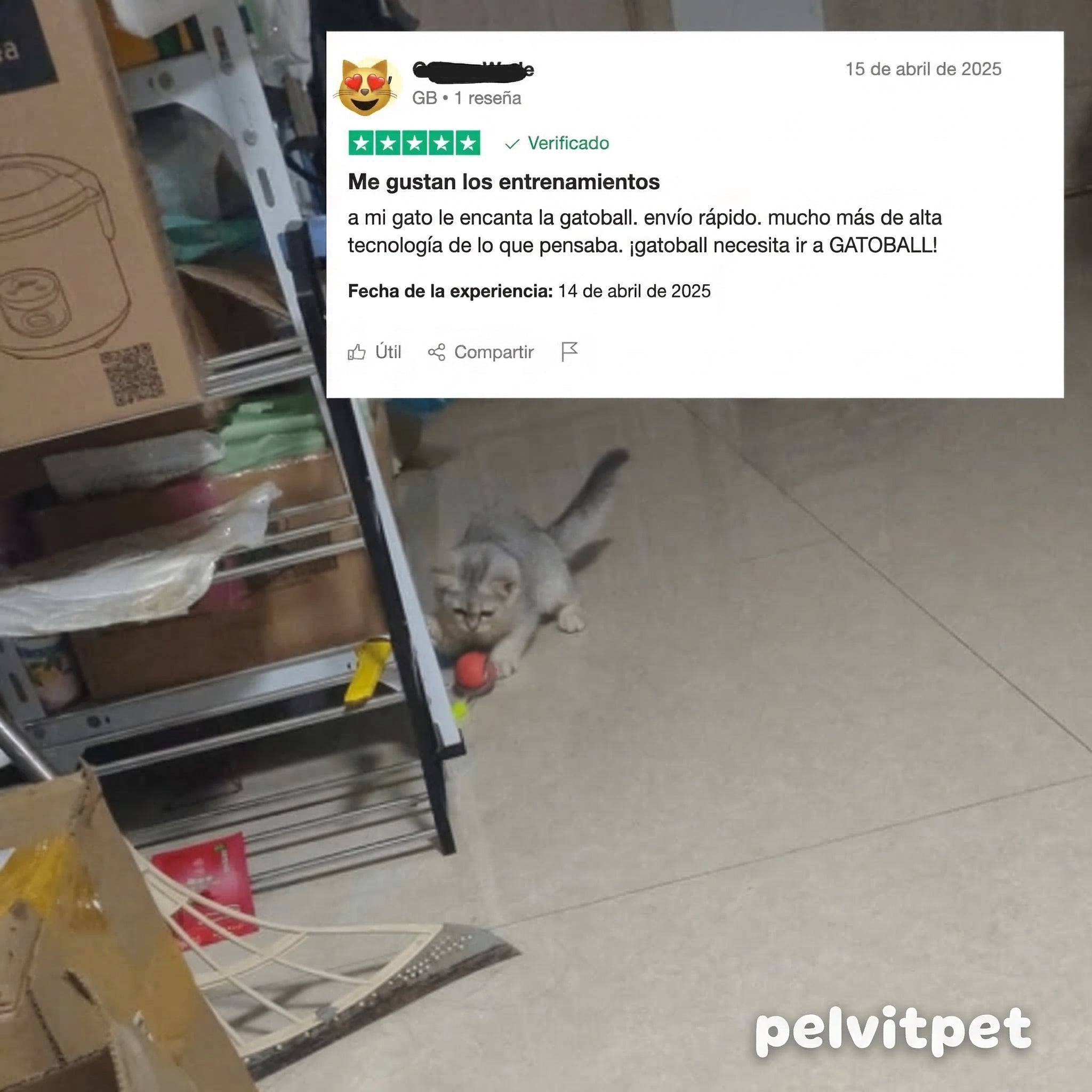 GatoBall™ - El Juguete que Juega Solo - Pelvitpet