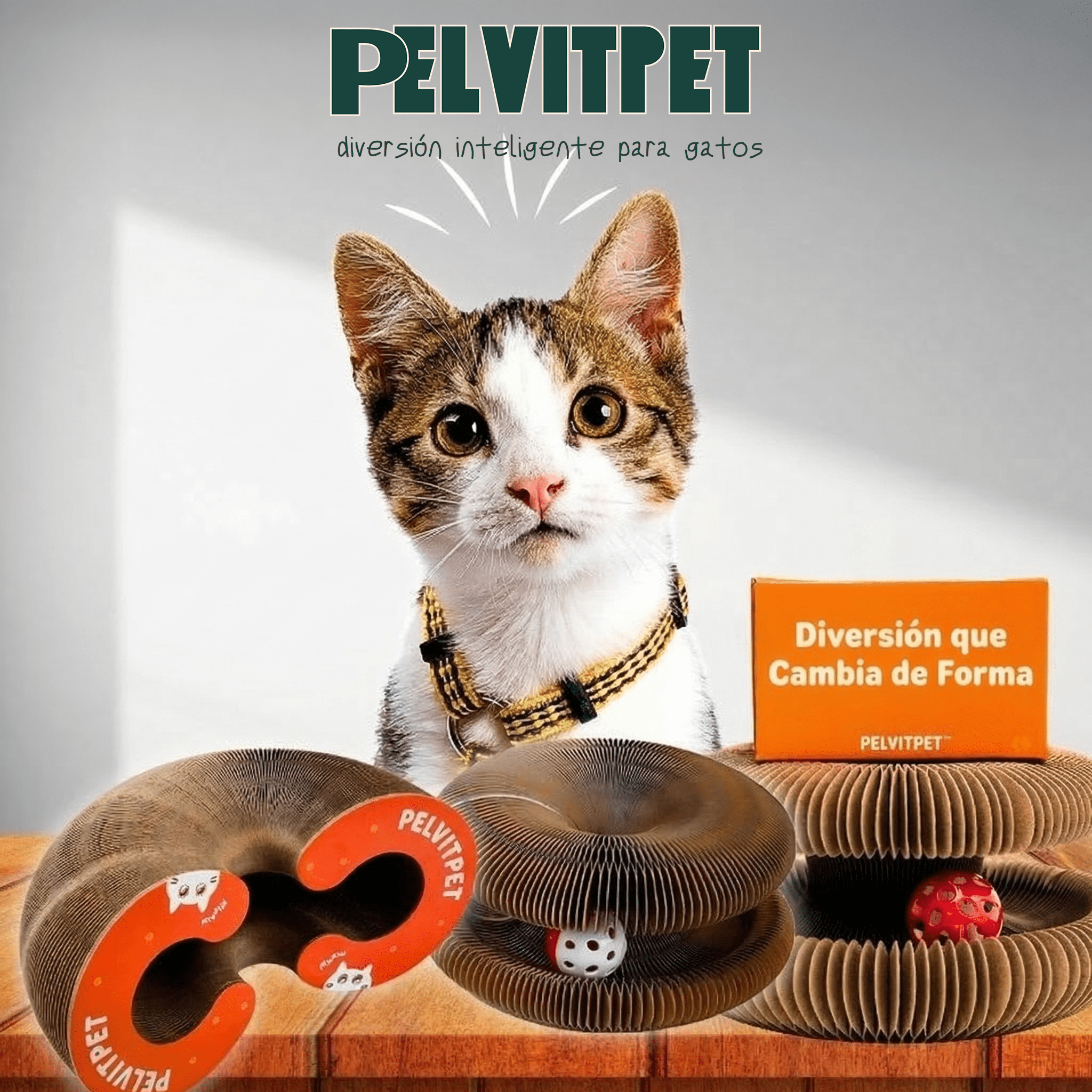 GatoKurl™ - Juega, Rasca, Descansa - Pelvitpet