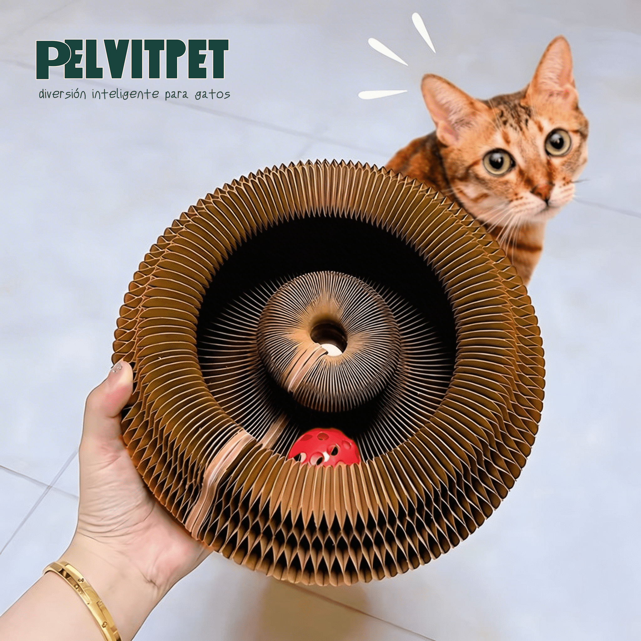 GatoKurl™ - Juega, Rasca, Descansa - Pelvitpet