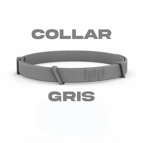 Collar Premium PelvitPet