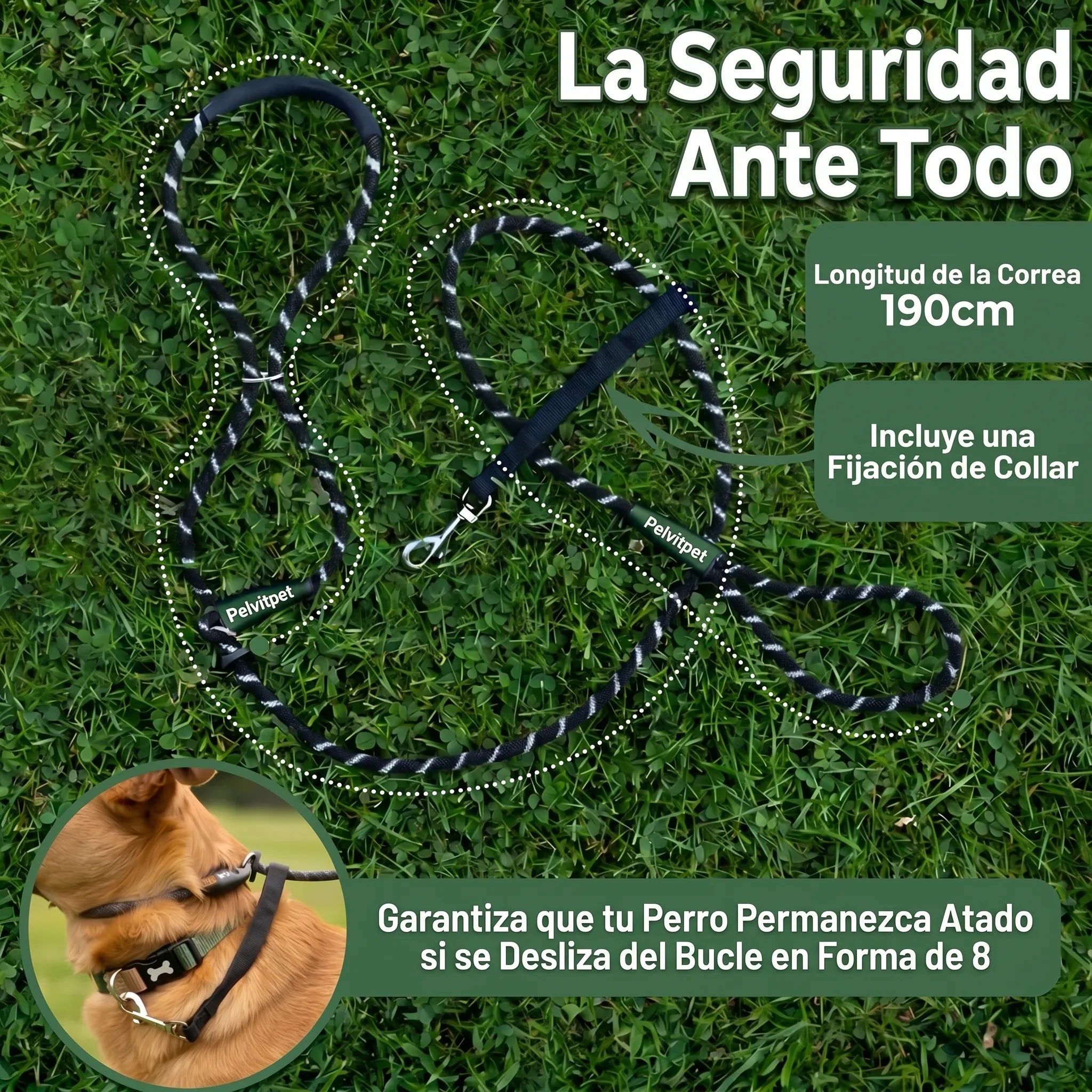 Pelvitpet - Correa Antitirones para Perro