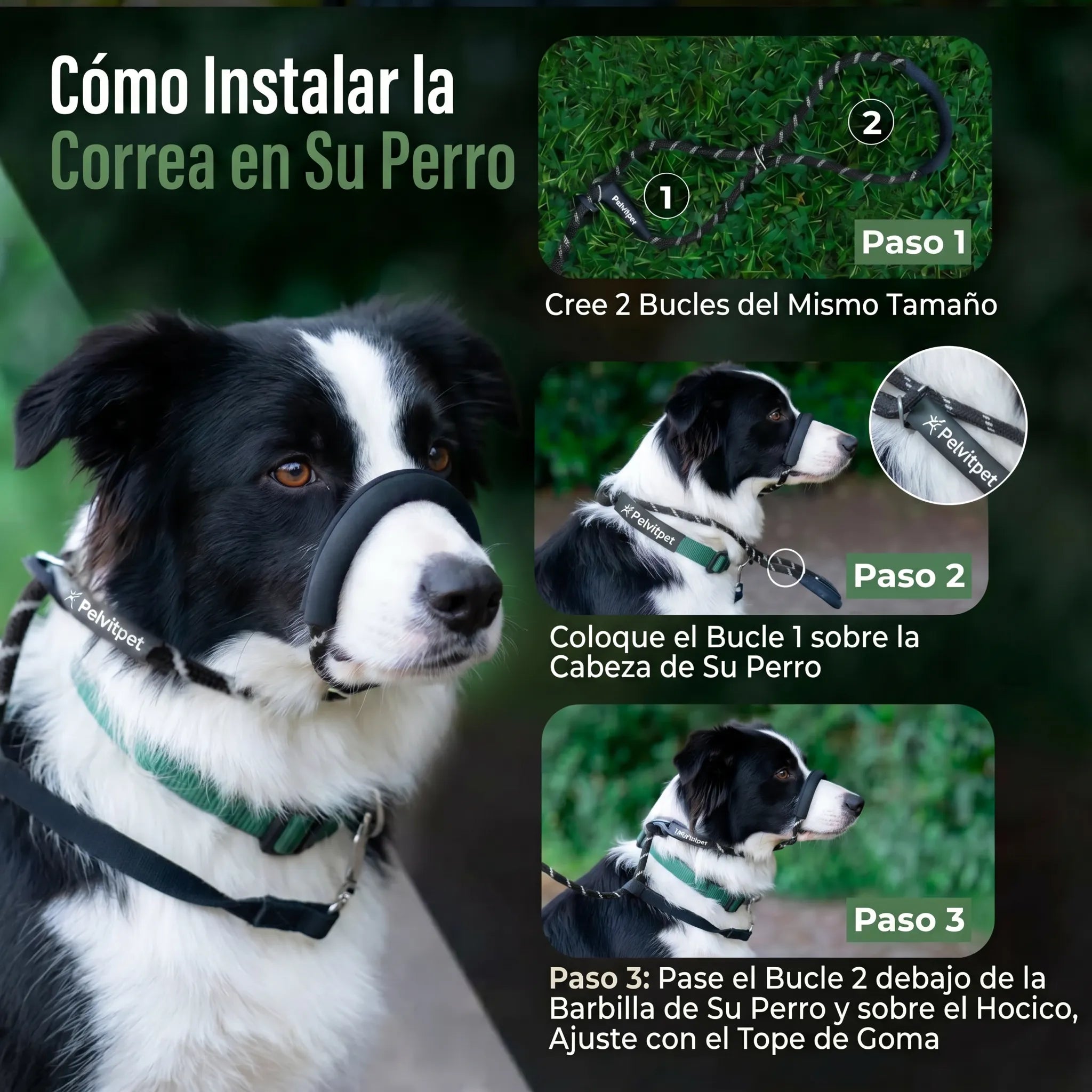 Pelvitpet - Correa Antitirones para Perro
