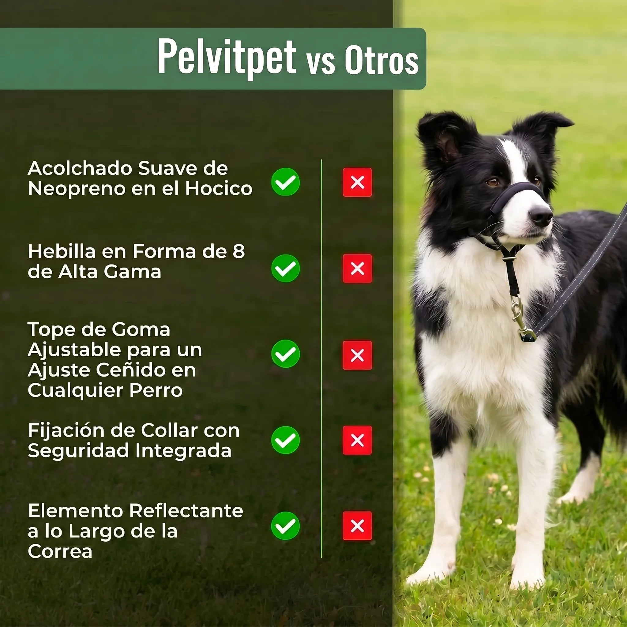 Pelvitpet - Correa Antitirones para Perro