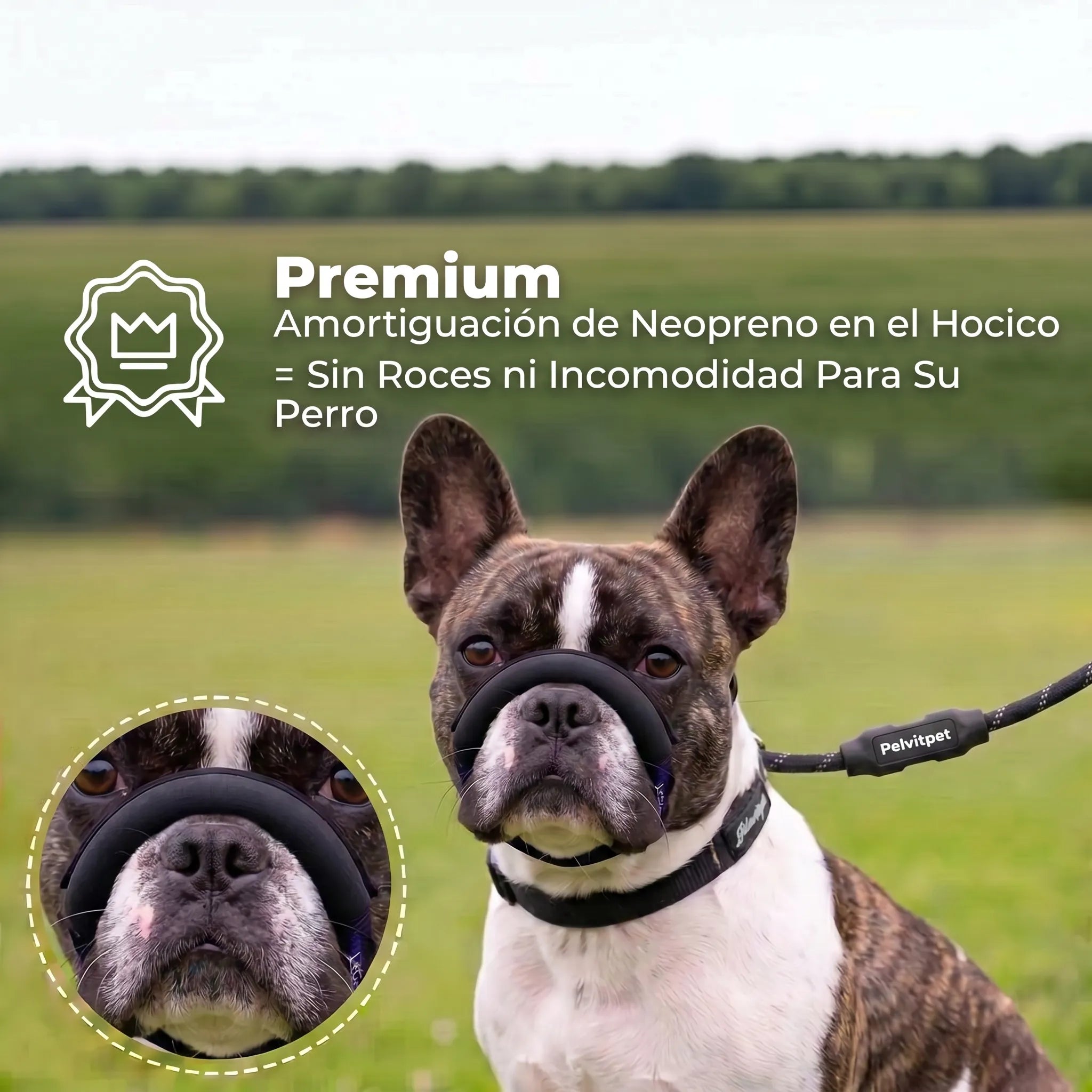 Pelvitpet - Correa Antitirones para Perro