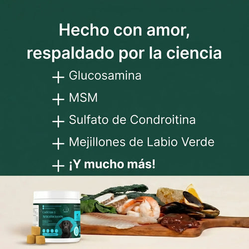 Caderas y Articulaciones