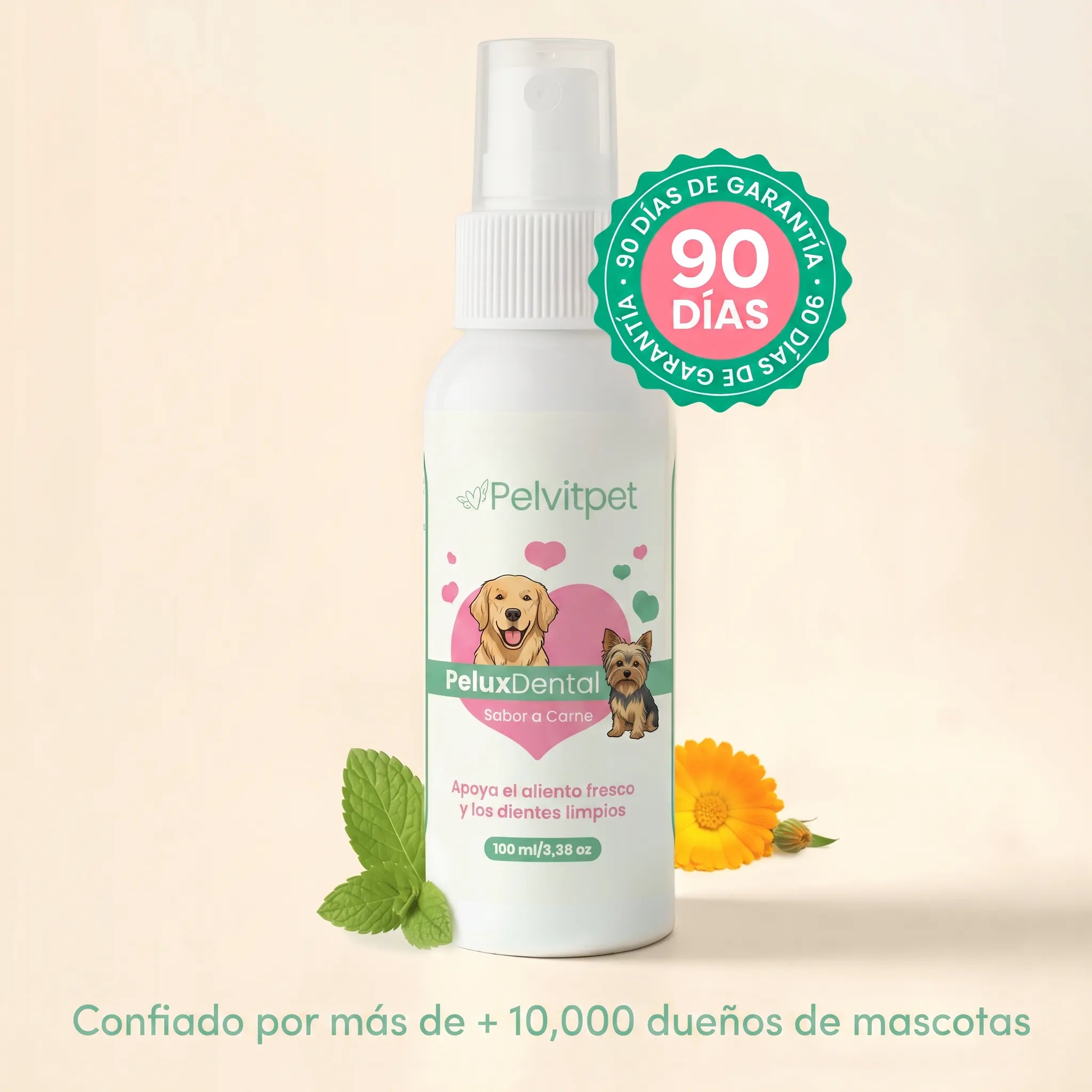 PeluxDental - Spray Dental Antisarro para Perros (Copy)