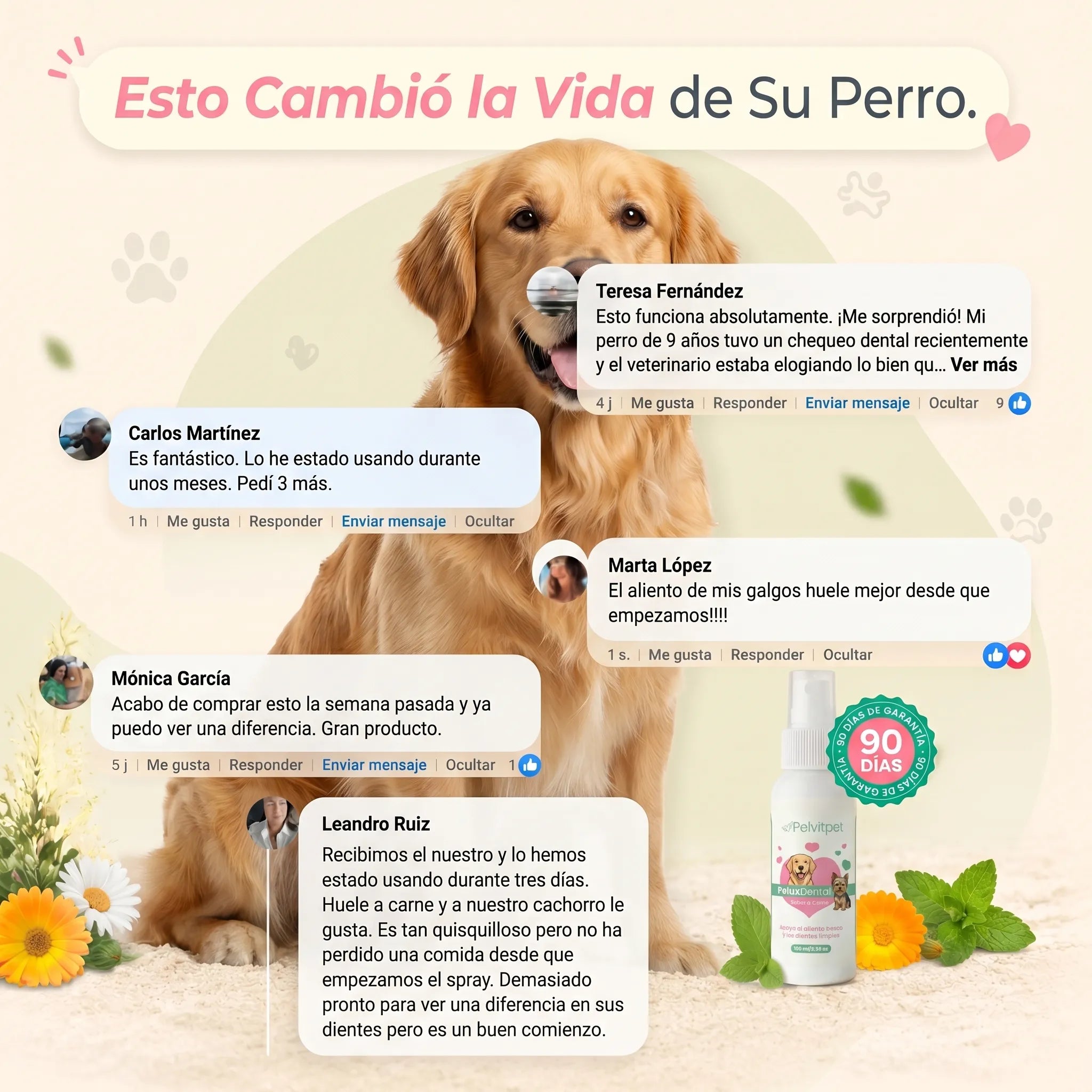 PeluxDental - Spray Dental Antisarro para Perros (Copy)