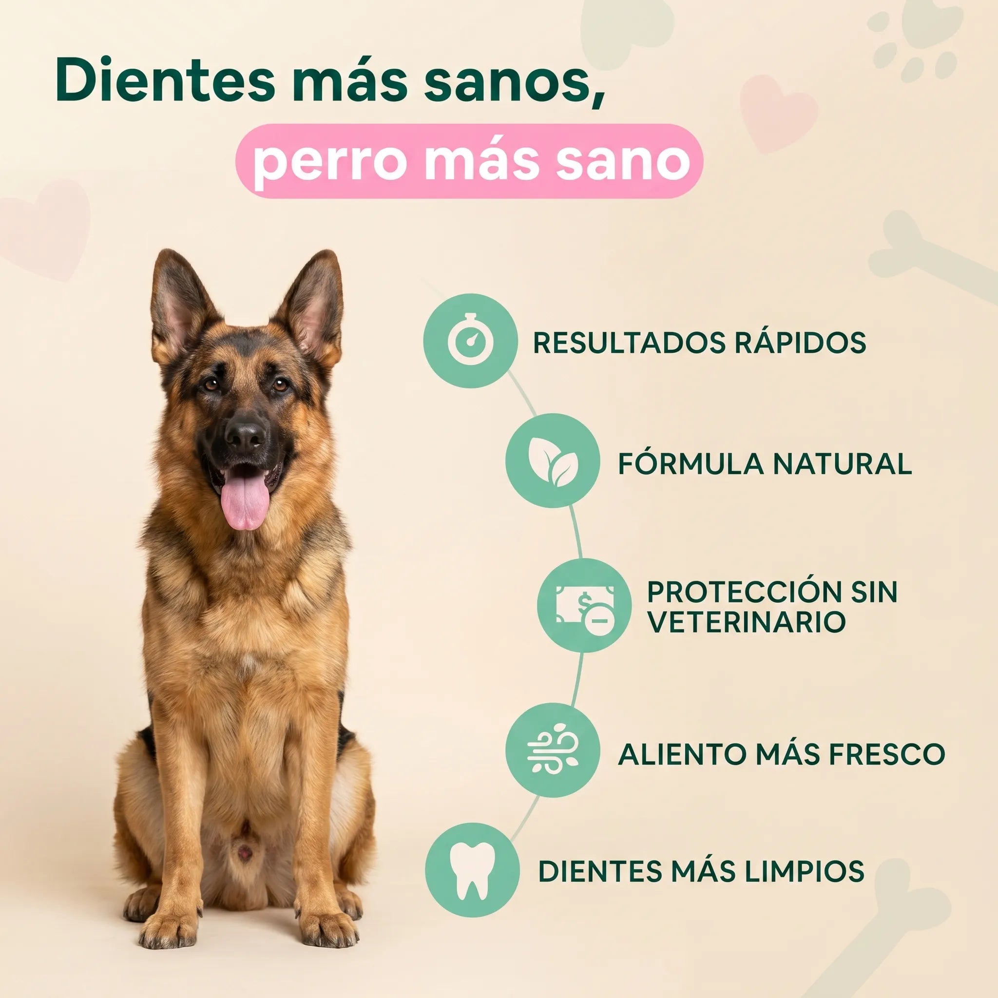 PeluxDental - Spray Dental Antisarro para Perros (Copy)