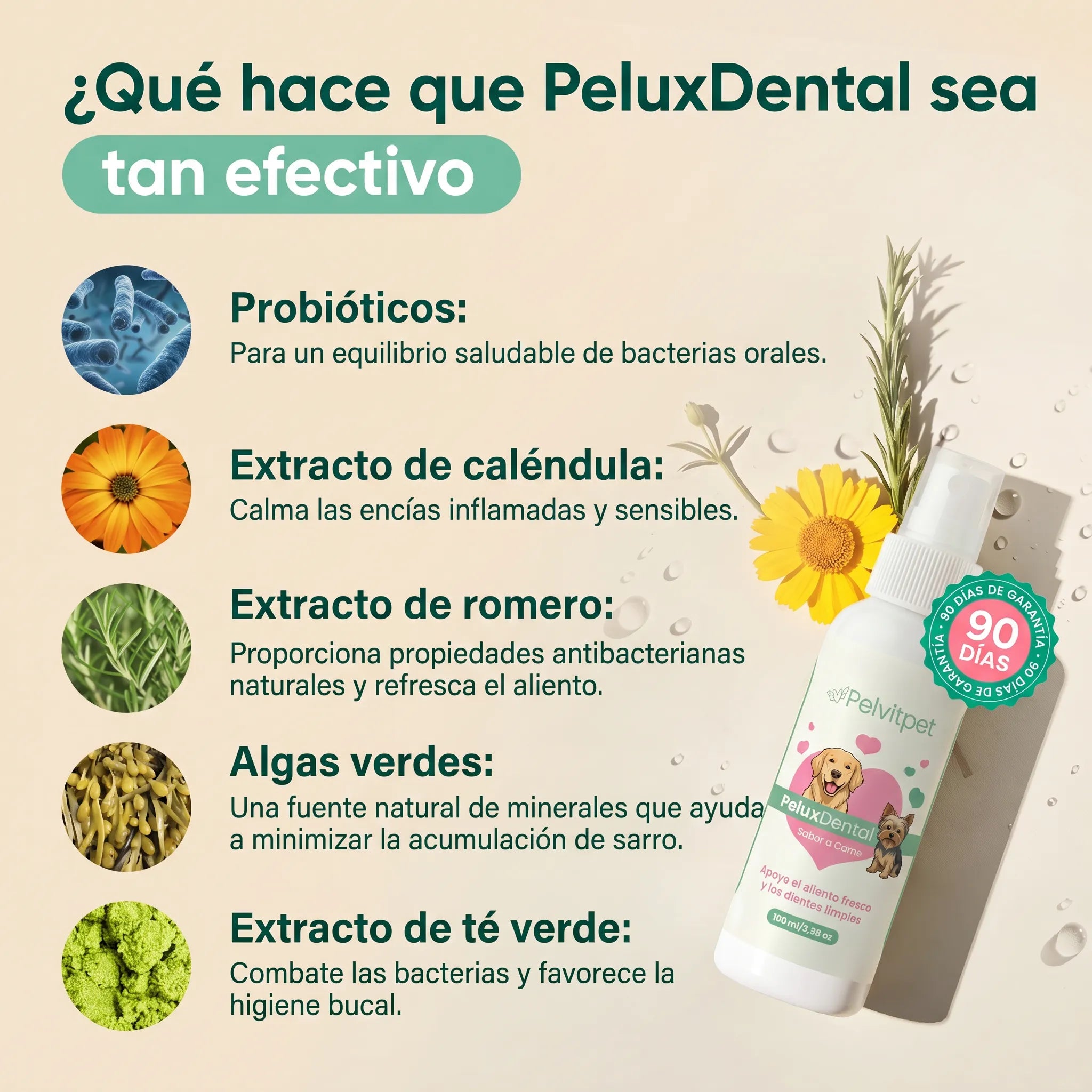 PeluxDental - Spray Dental Antisarro para Perros (Copy)