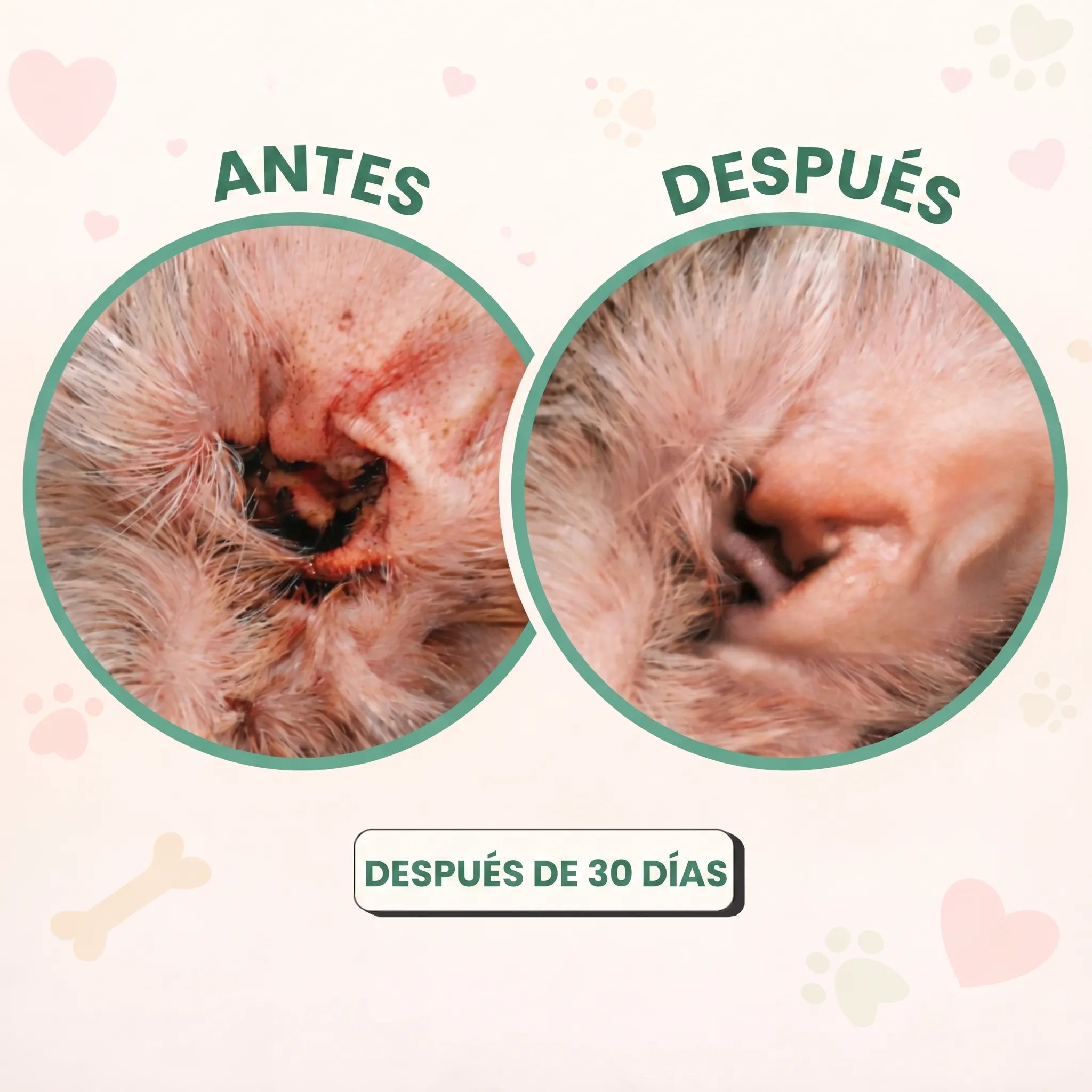 Pelux Auricular - Limpiador de Oídos para Perros (Copy)