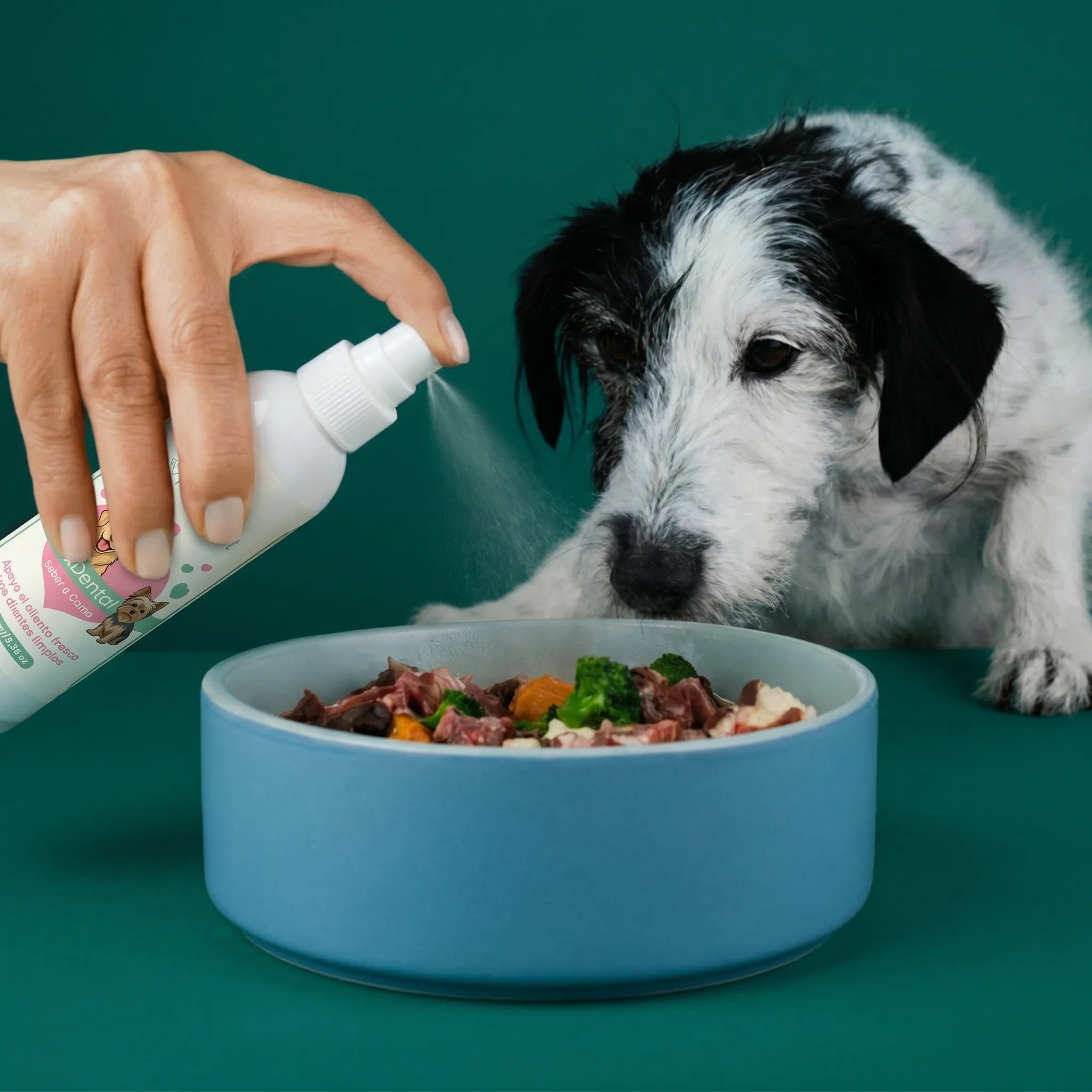 PeluxDental - Spray Dental Antisarro para Perros