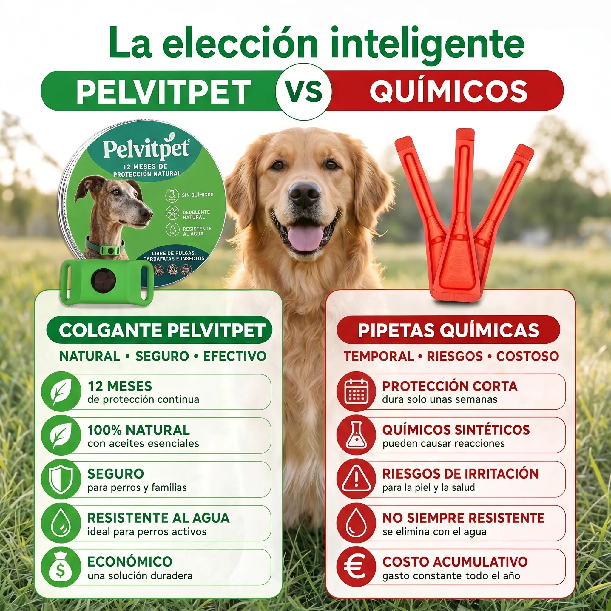 Pelvitpet - Escudo Natural 12 Meses: Protección Total contra Pulgas y Garrapatas