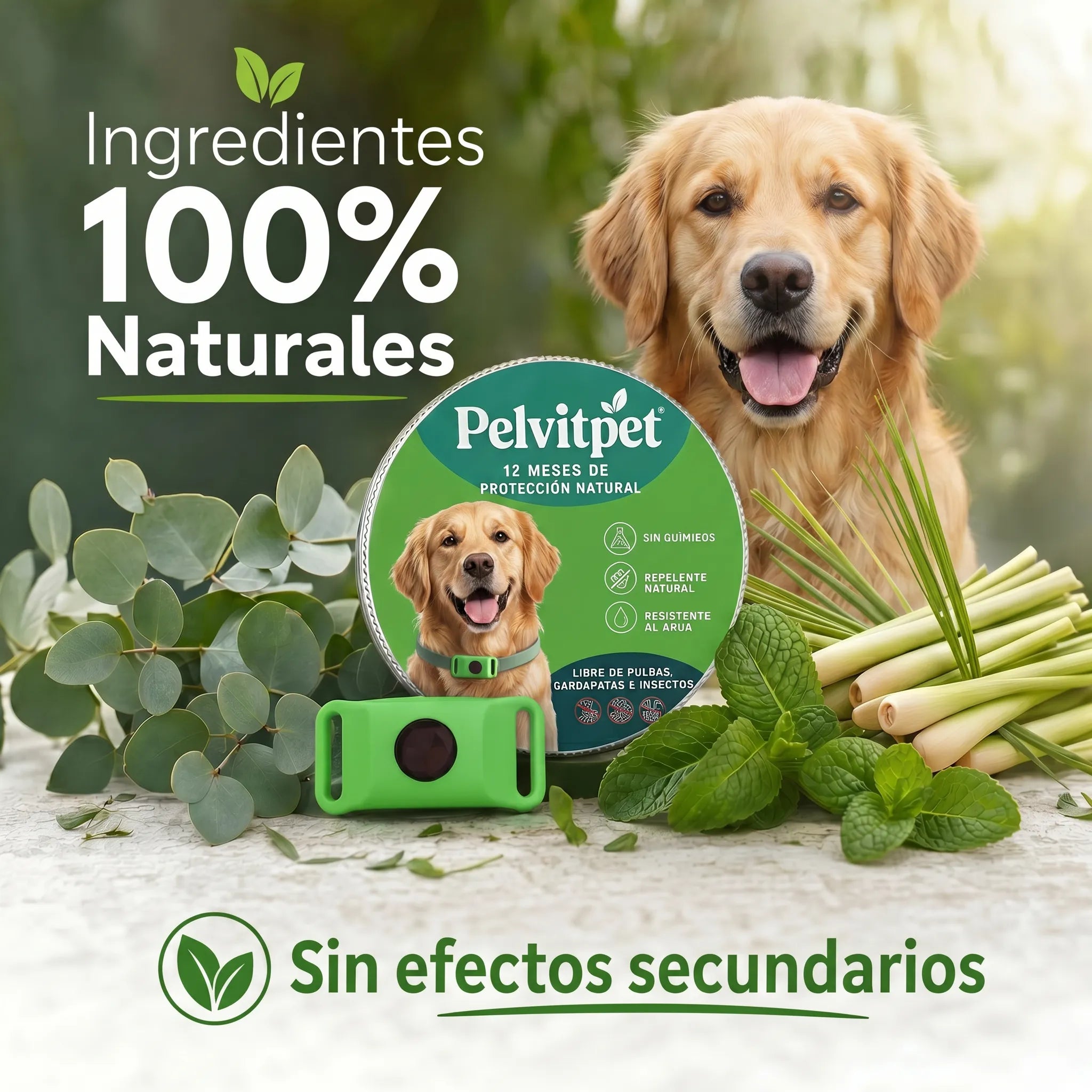 Pelvitpet - Escudo Natural 12 Meses: Protección Total contra Pulgas y Garrapatas