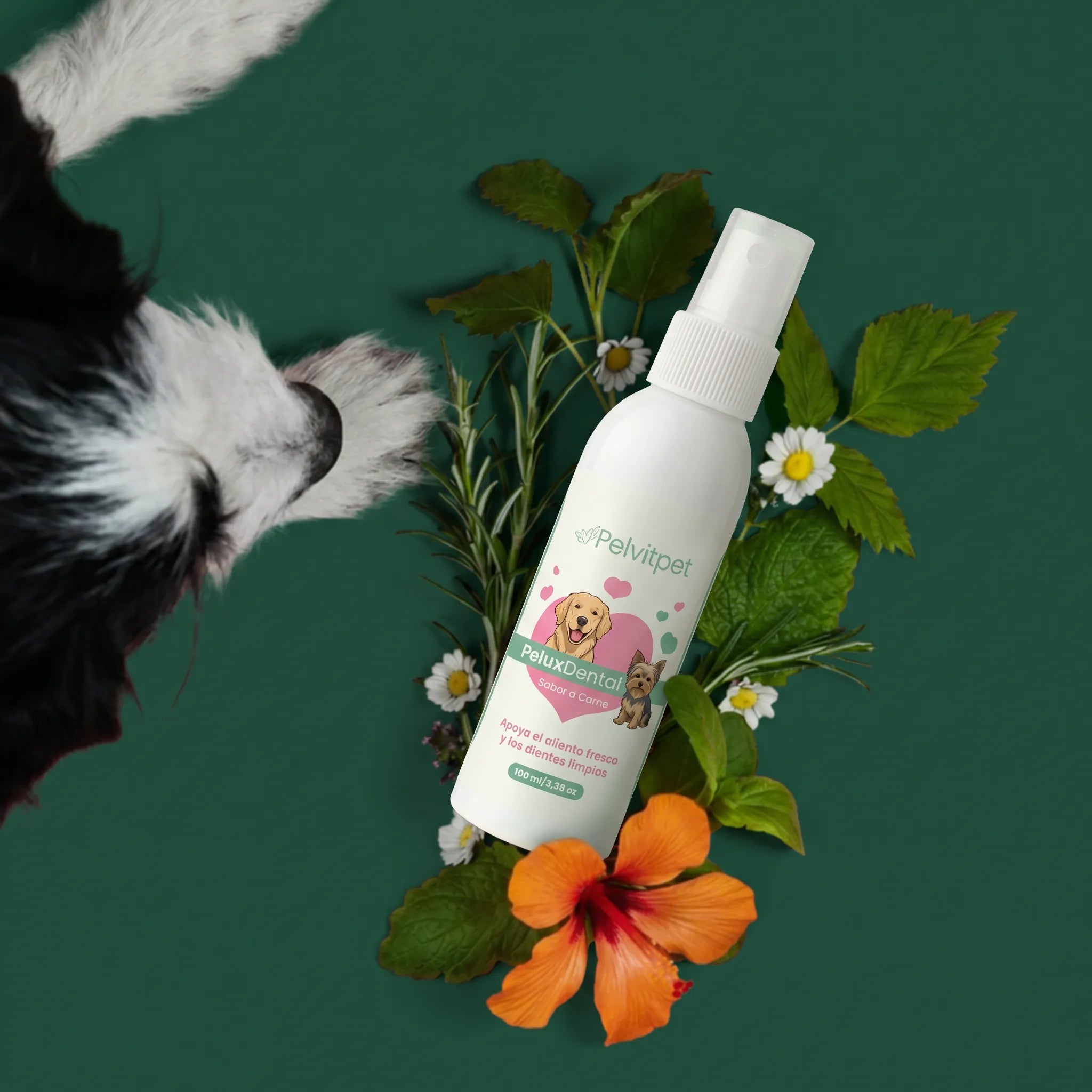 PeluxDental - Spray Dental Antisarro para Perros