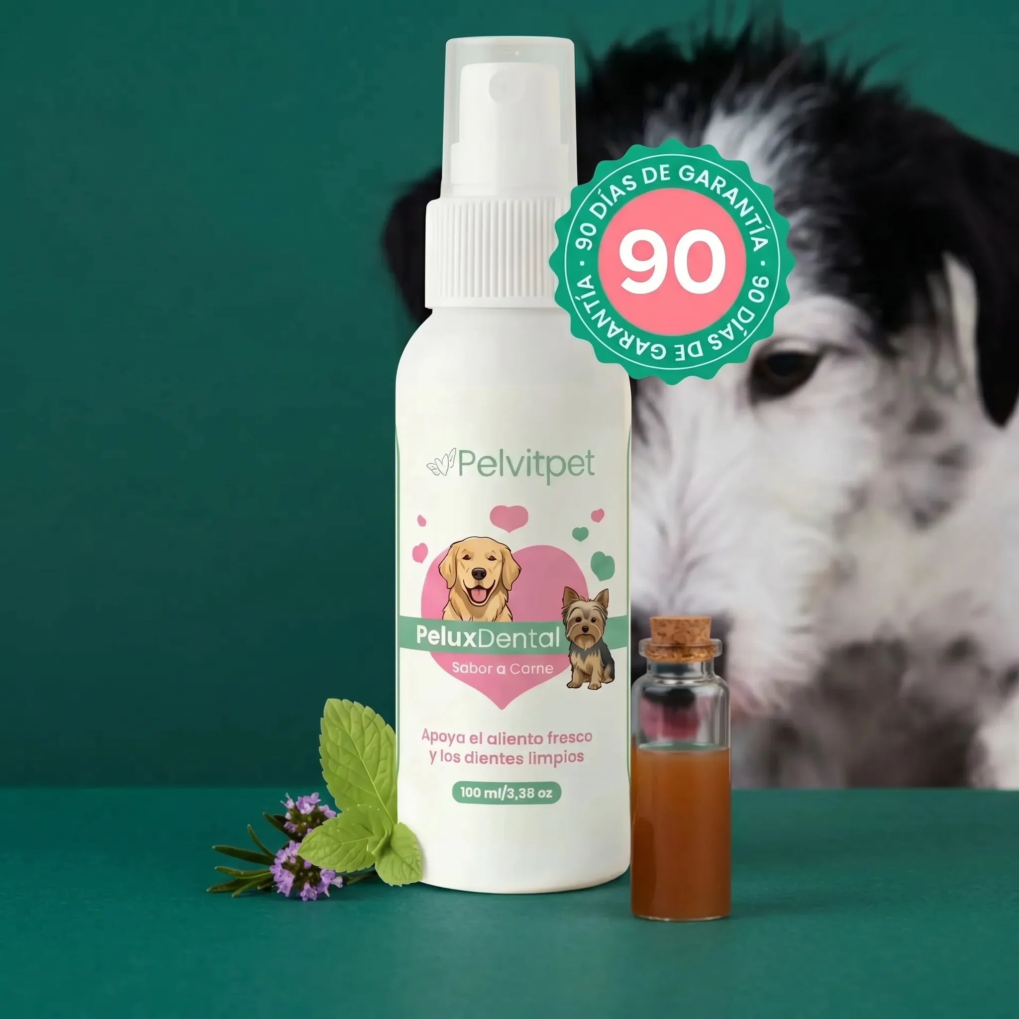 PeluxDental - Spray Dental Antisarro para Perros