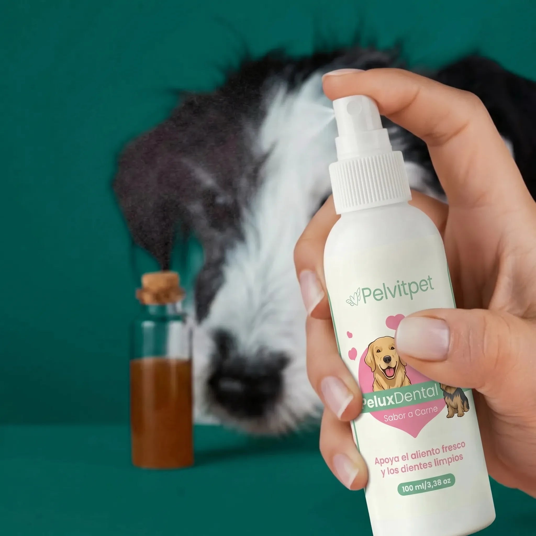 PeluxDental - Spray Dental Antisarro para Perros
