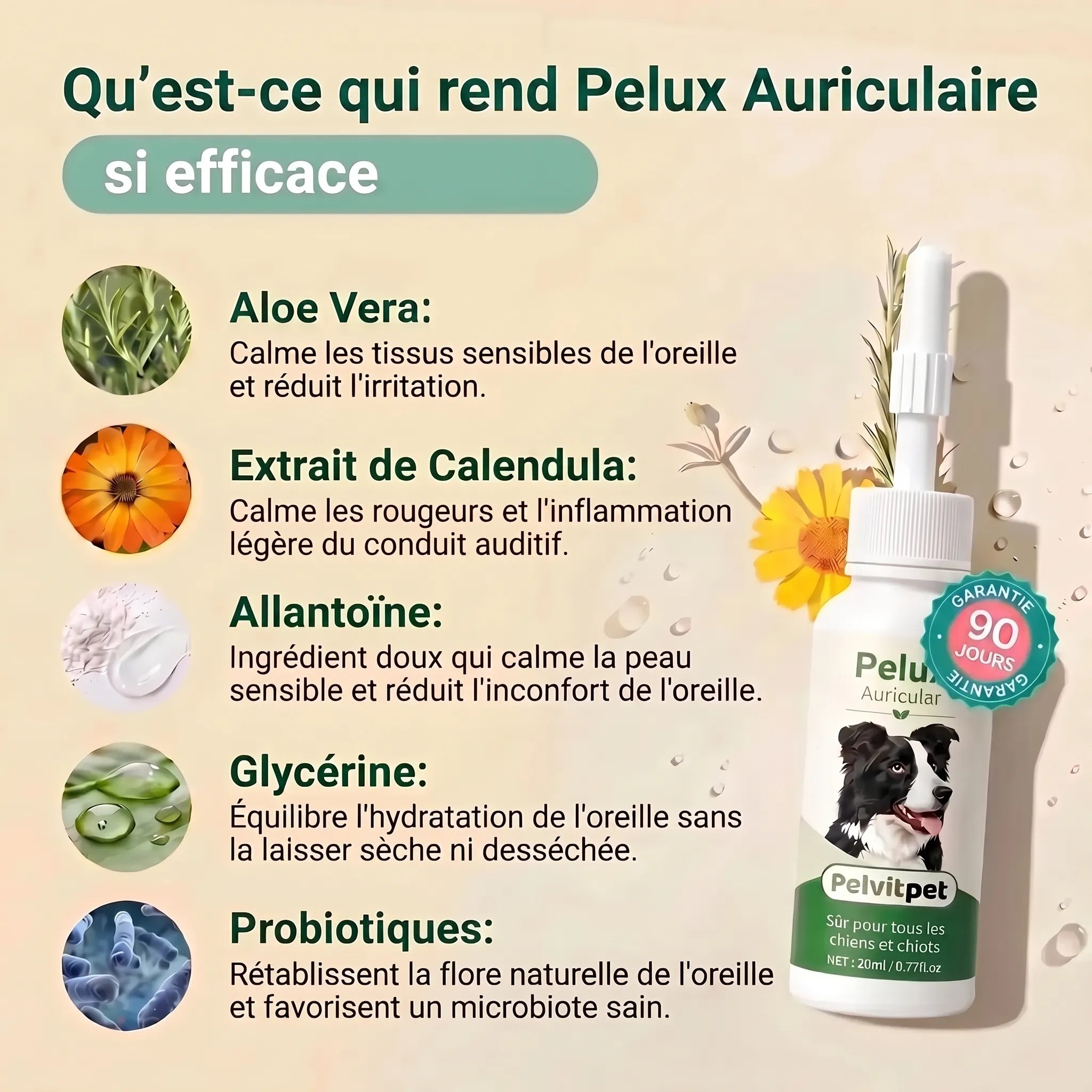Pelux Auricular - Nettoyant Auriculaire pour Chiens