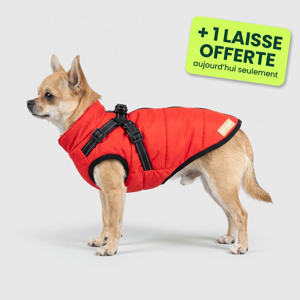 Pelux Polar™ — Le Manteau avec Harnais Intégré