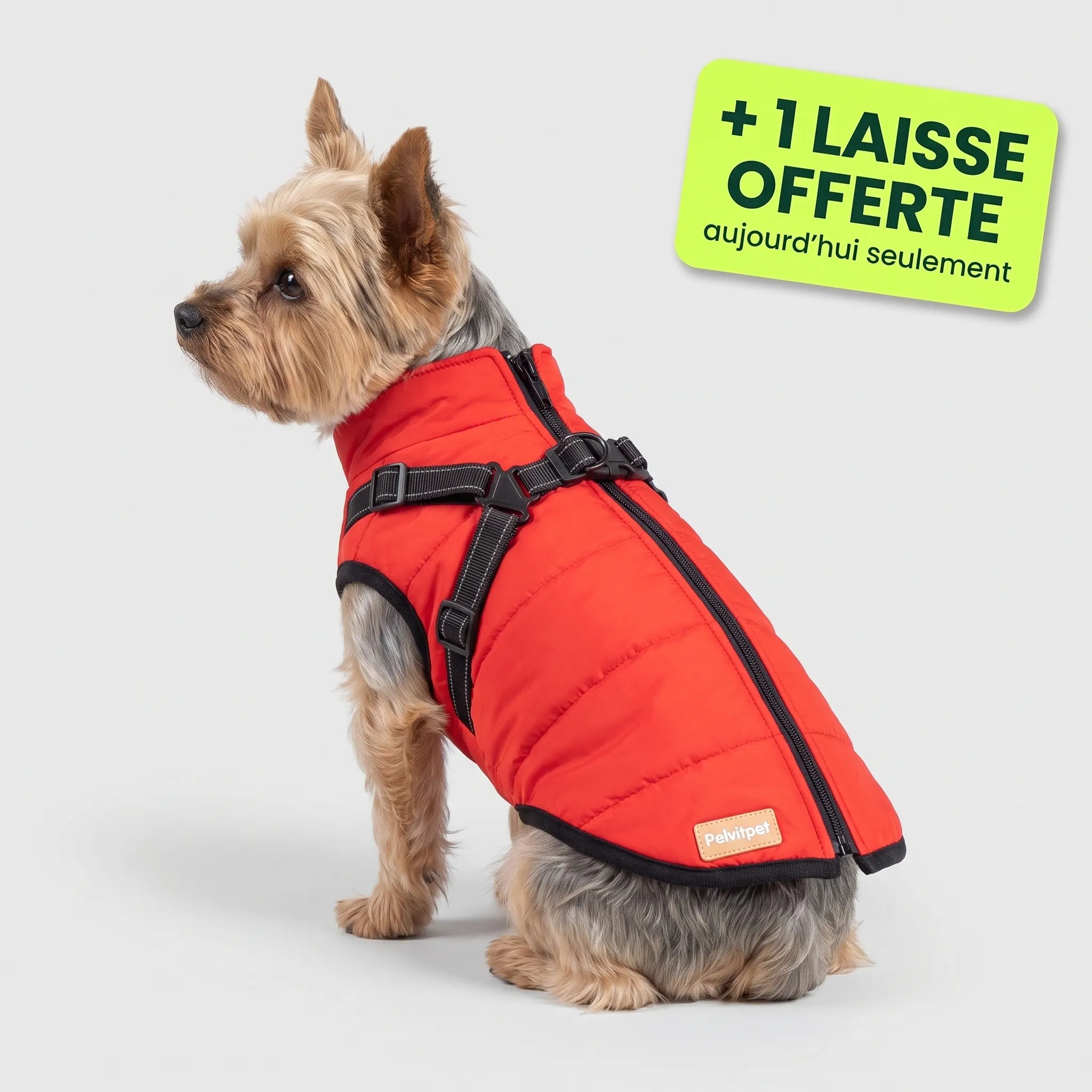Pelux Polar™ — Le Manteau avec Harnais Intégré