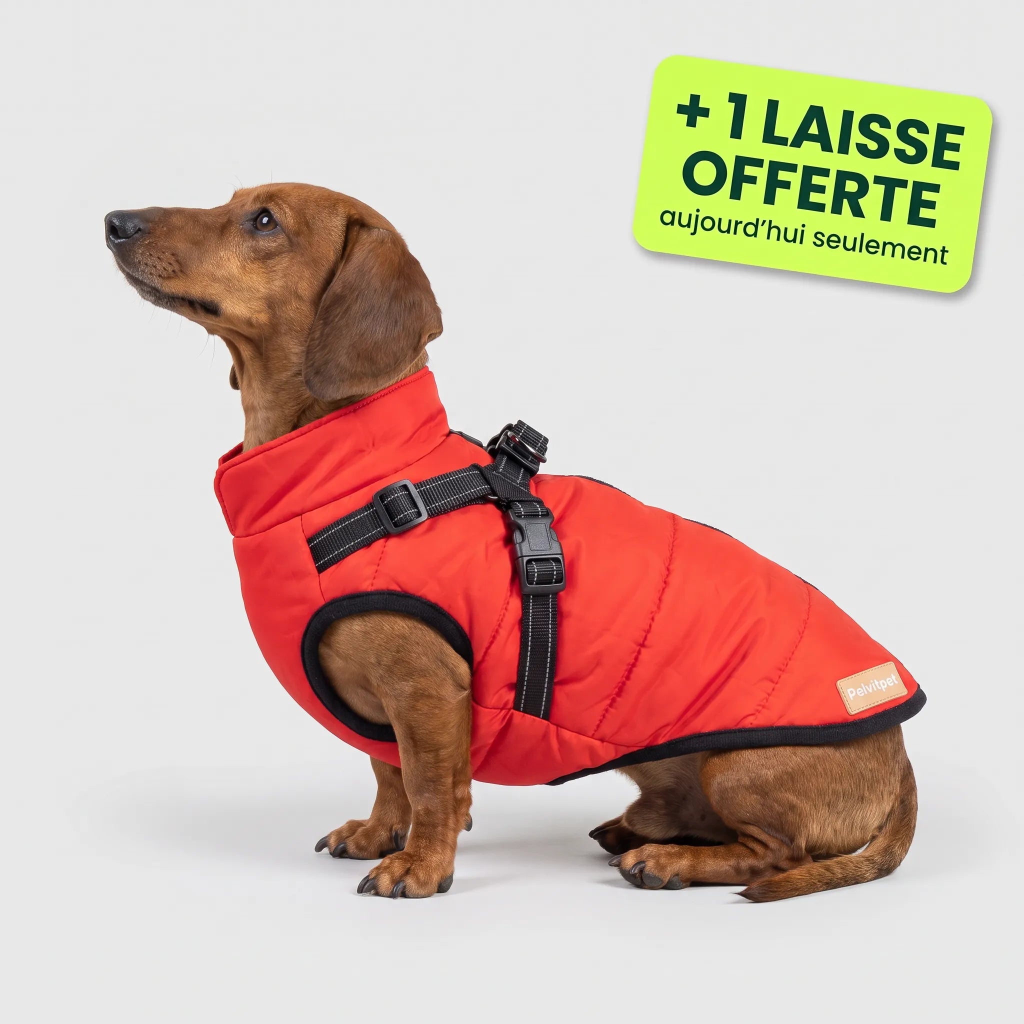 Pelux Polar™ — Le Manteau avec Harnais Intégré