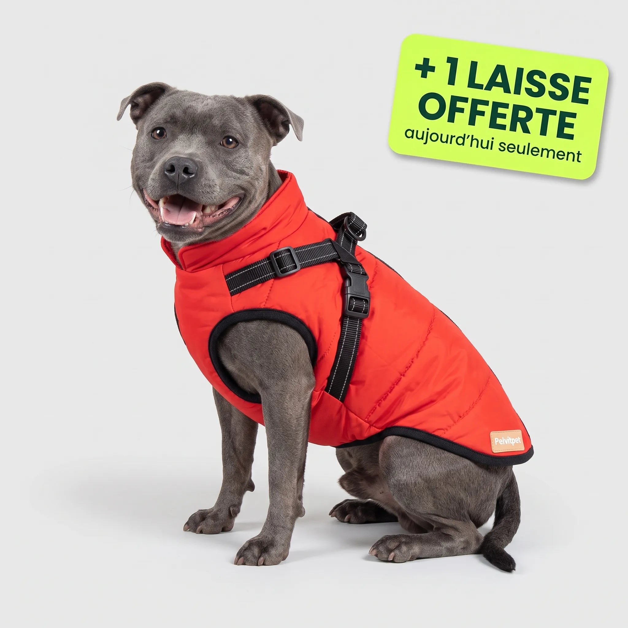 Pelux Polar™ — Le Manteau avec Harnais Intégré