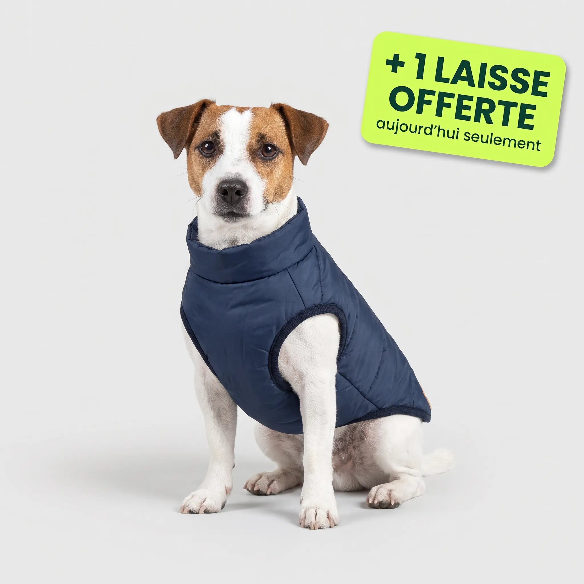 Pelux Polar™ — Le Manteau avec Harnais Intégré