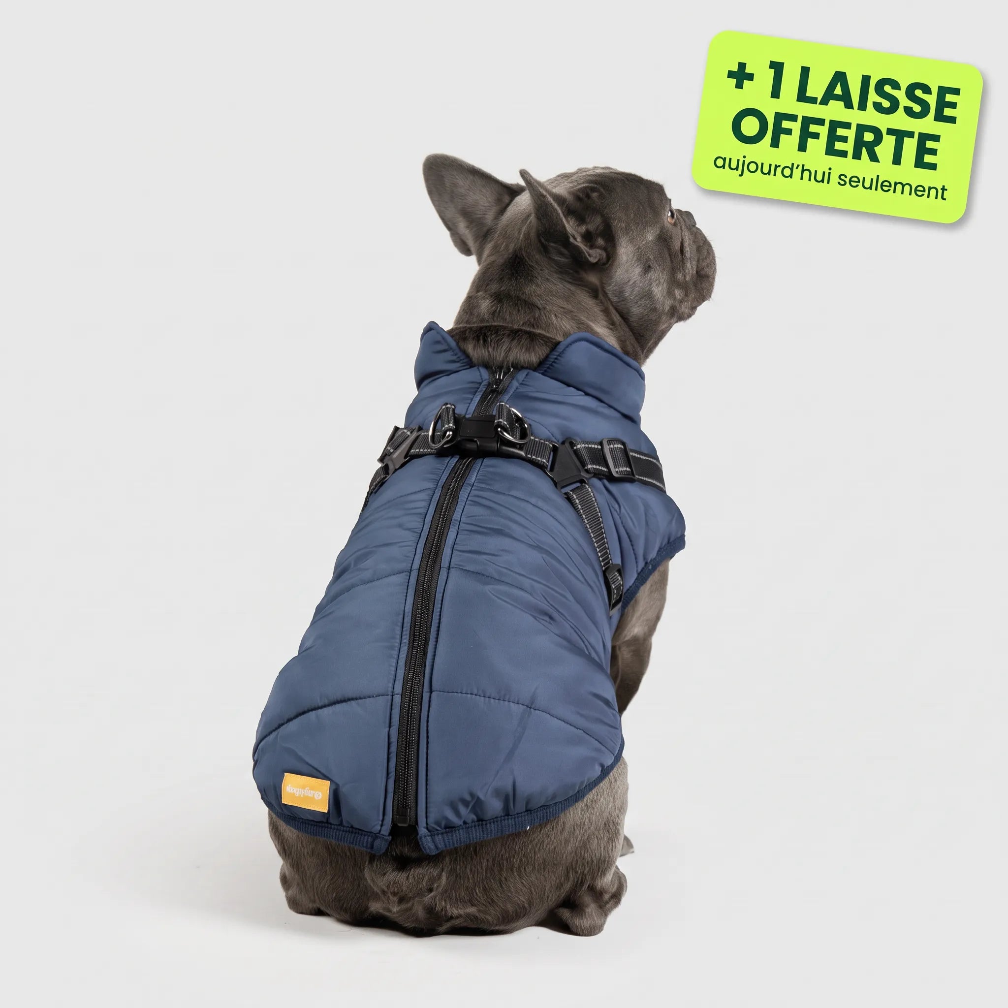 Pelux Polar™ — Le Manteau avec Harnais Intégré