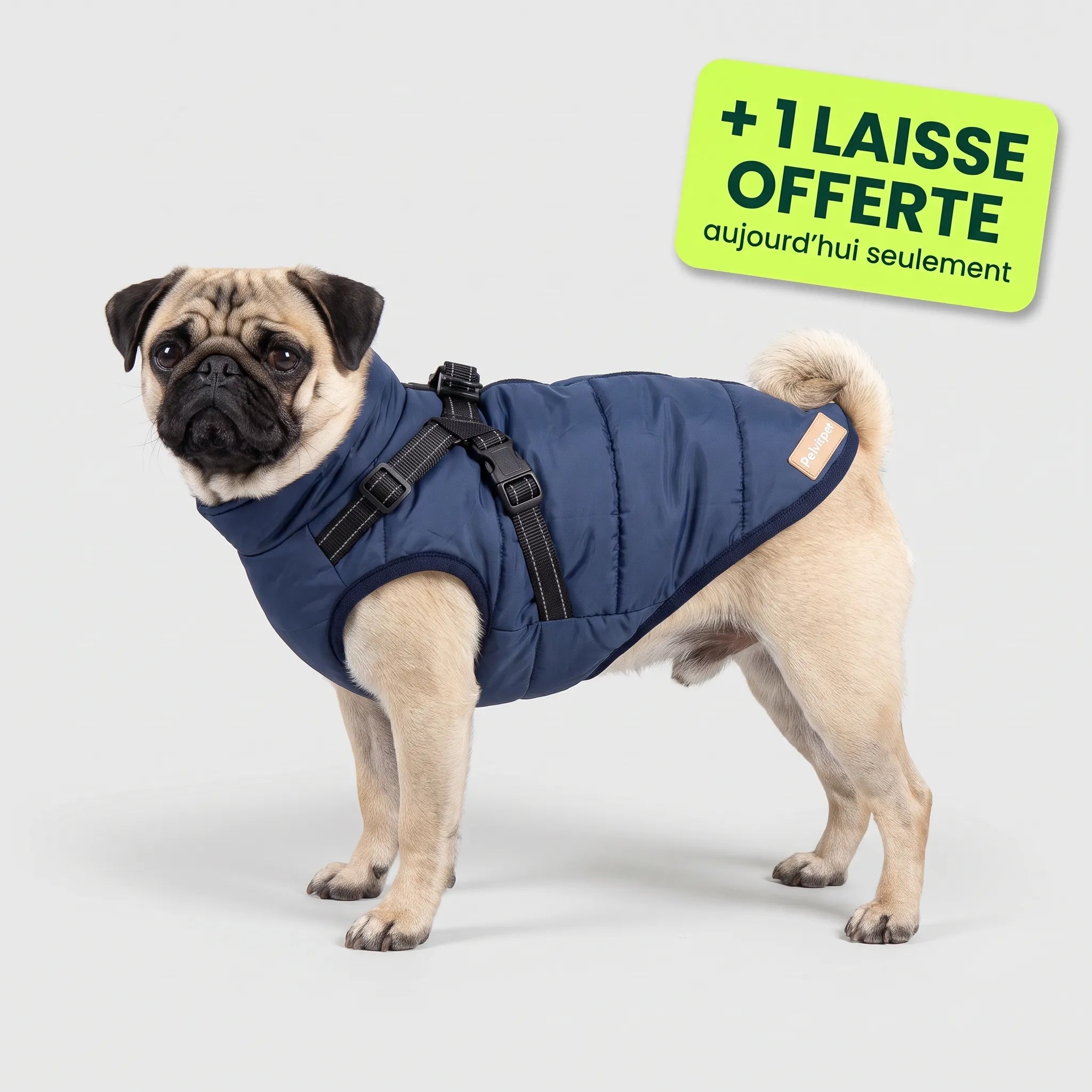 Pelux Polar™ — Le Manteau avec Harnais Intégré