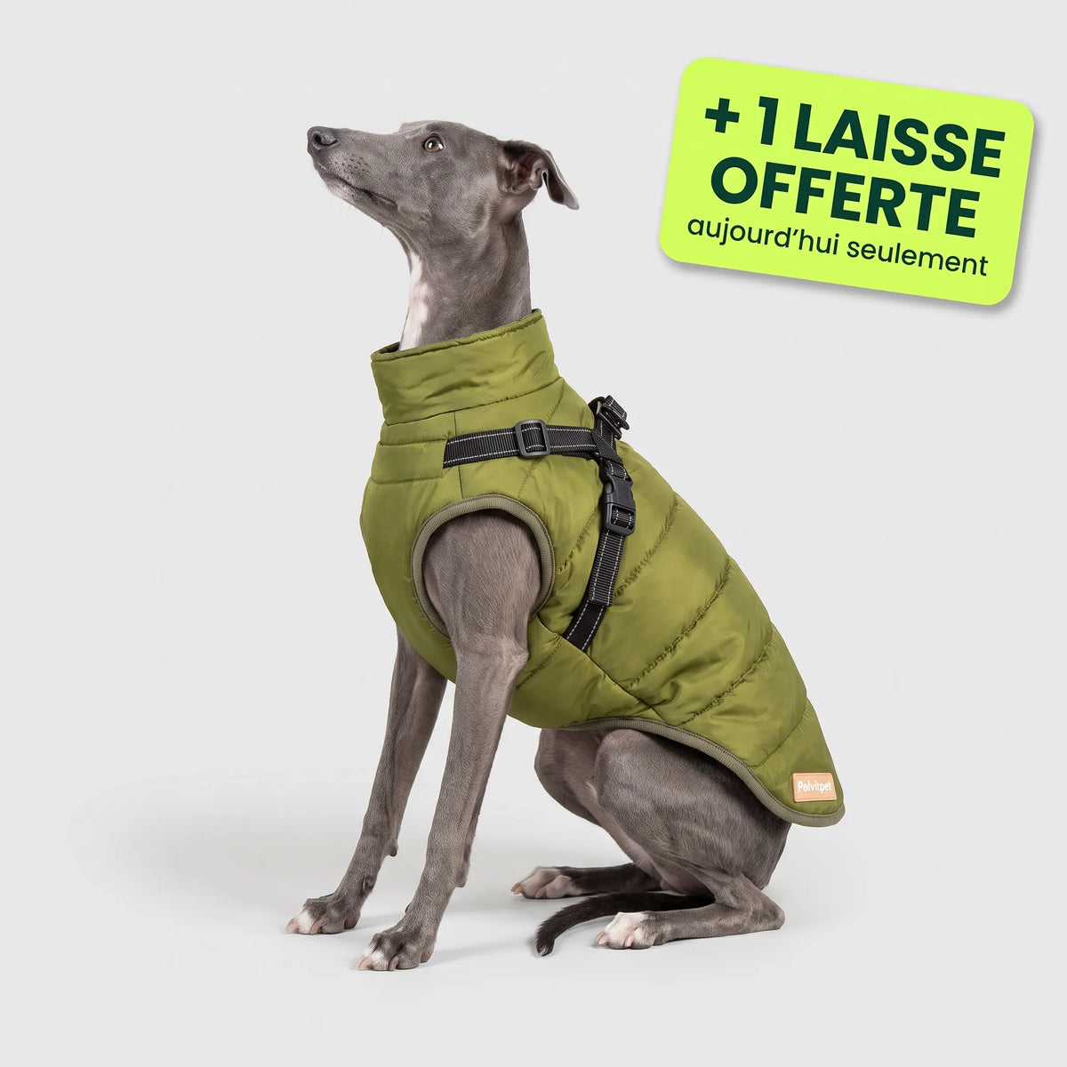 Pelux Polar™ — Le Manteau avec Harnais Intégré