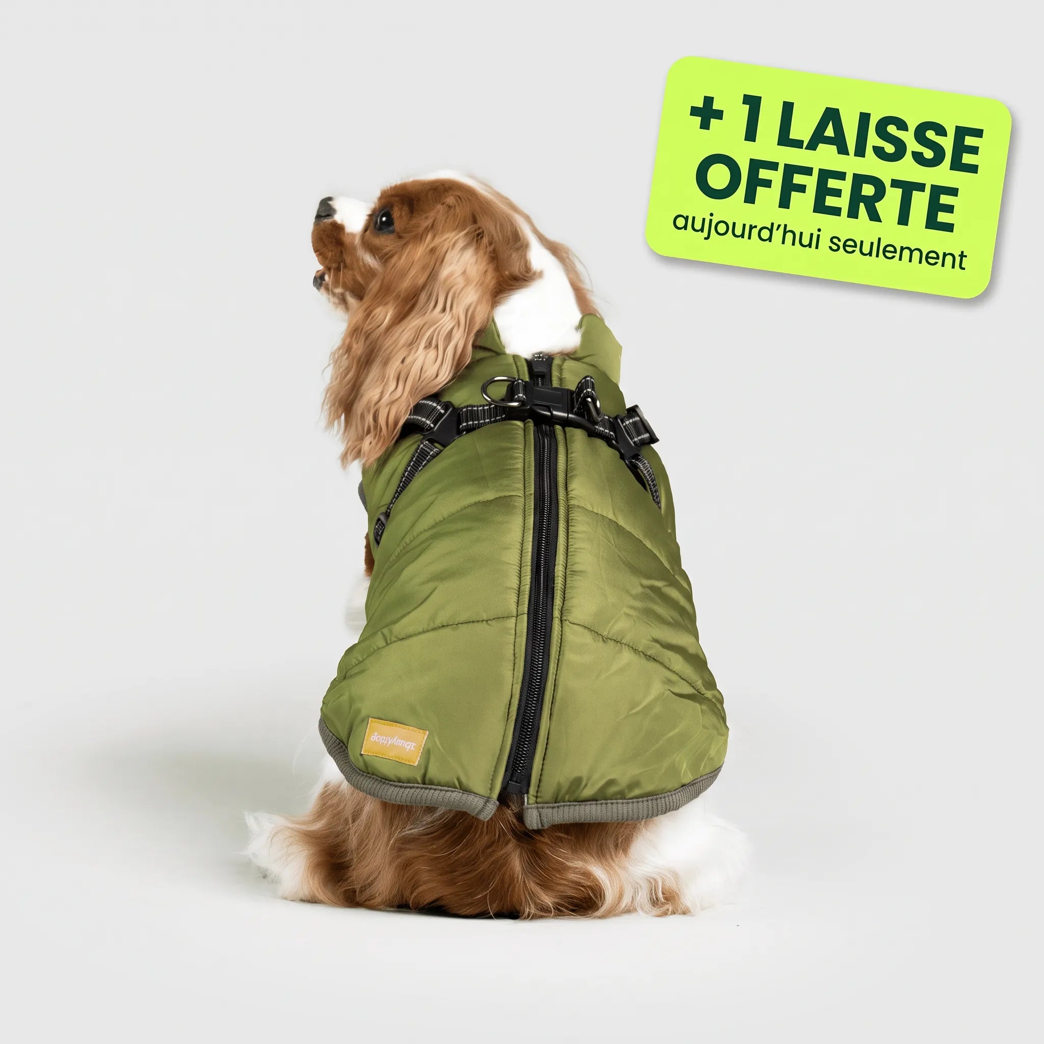 Pelux Polar™ — Le Manteau avec Harnais Intégré