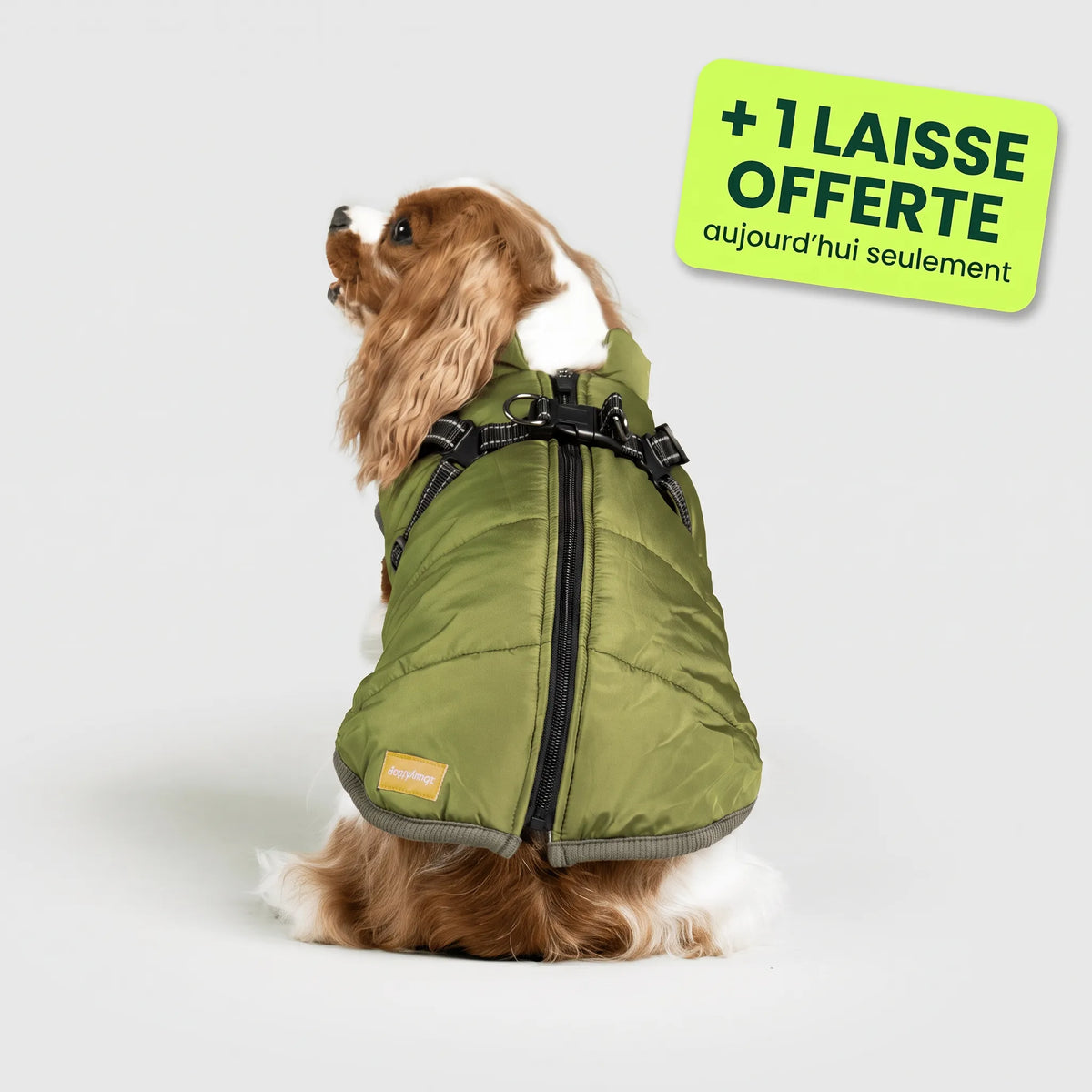 Pelux Polar™ — Le Manteau avec Harnais Intégré