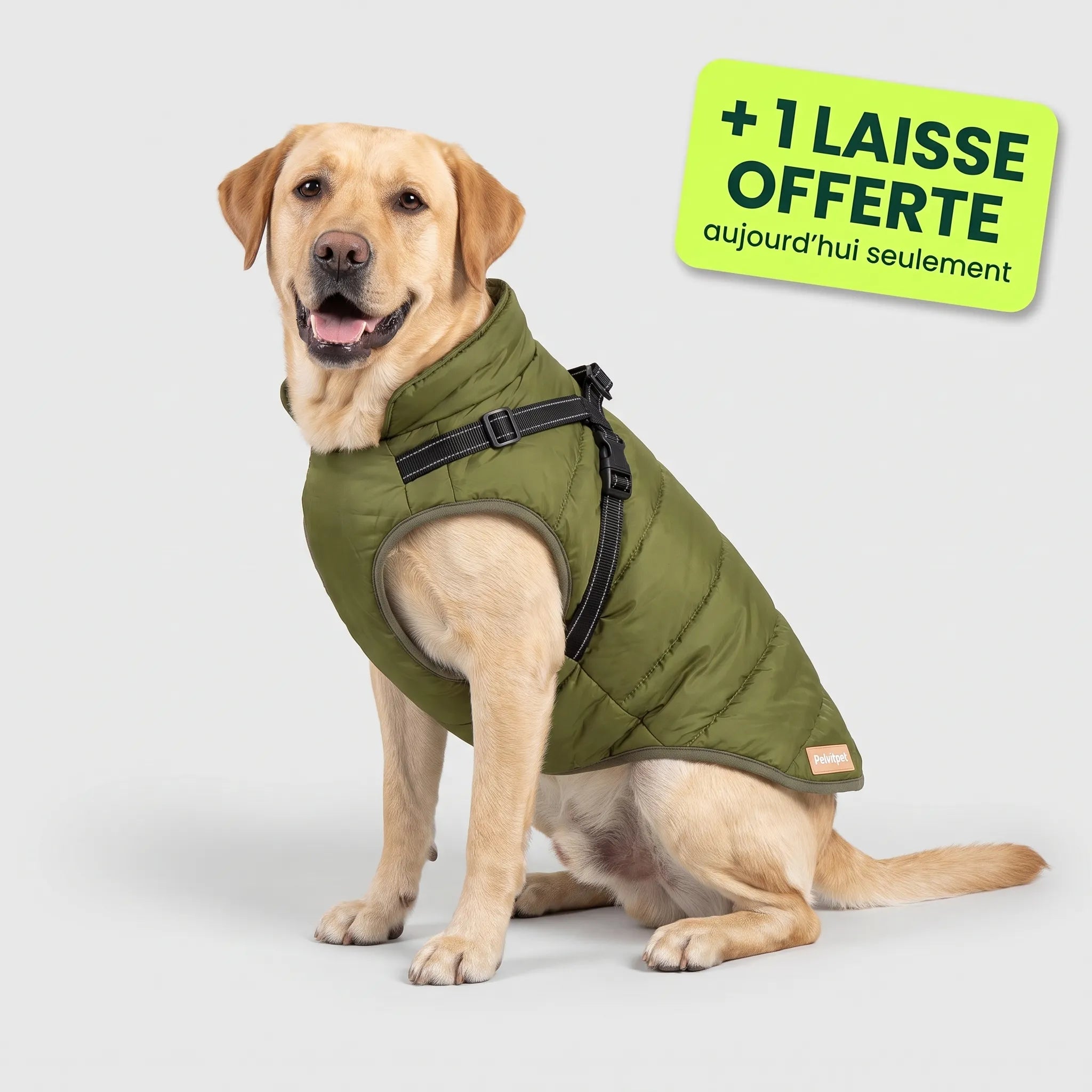 Pelux Polar™ — Le Manteau avec Harnais Intégré