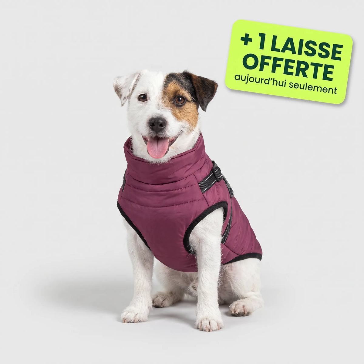 Pelux Polar™ — Le Manteau avec Harnais Intégré