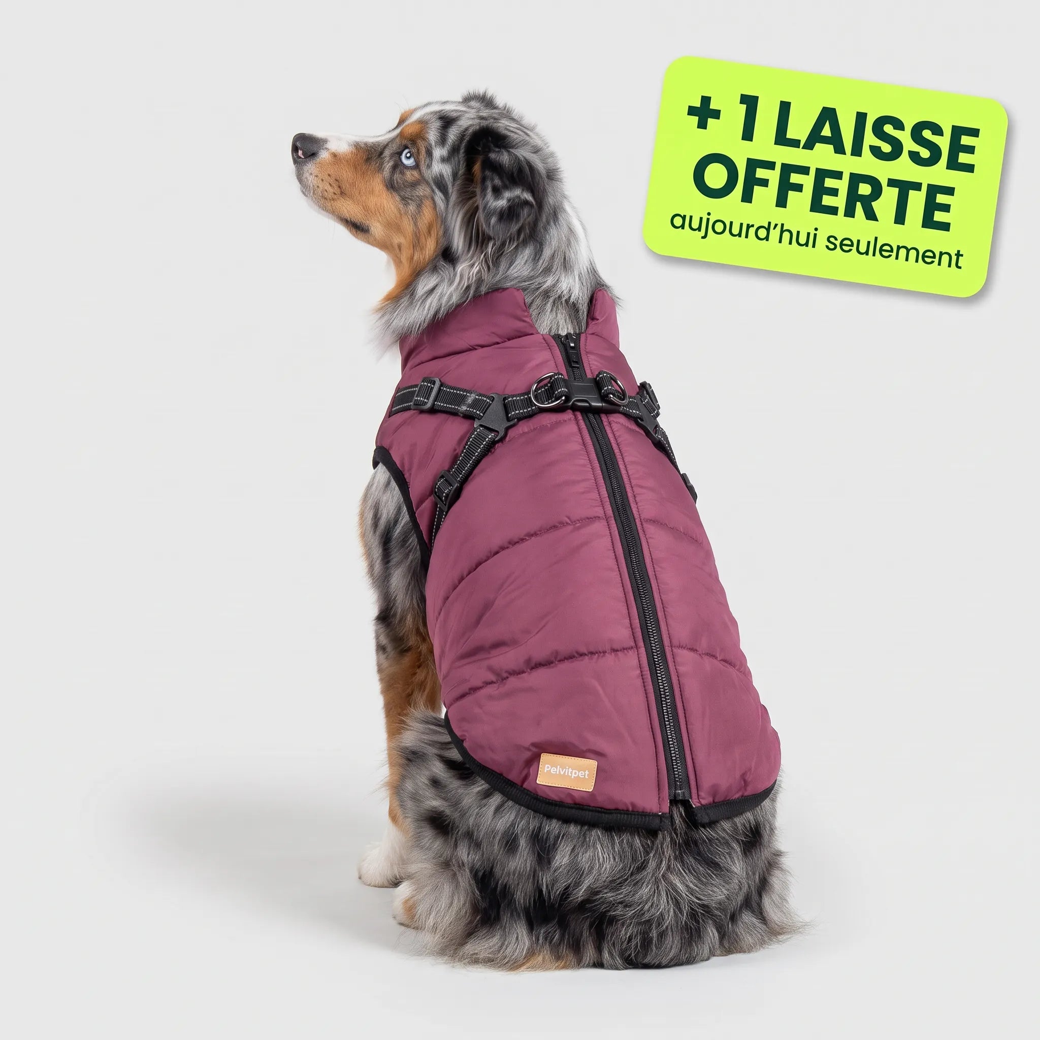 Pelux Polar™ — Le Manteau avec Harnais Intégré