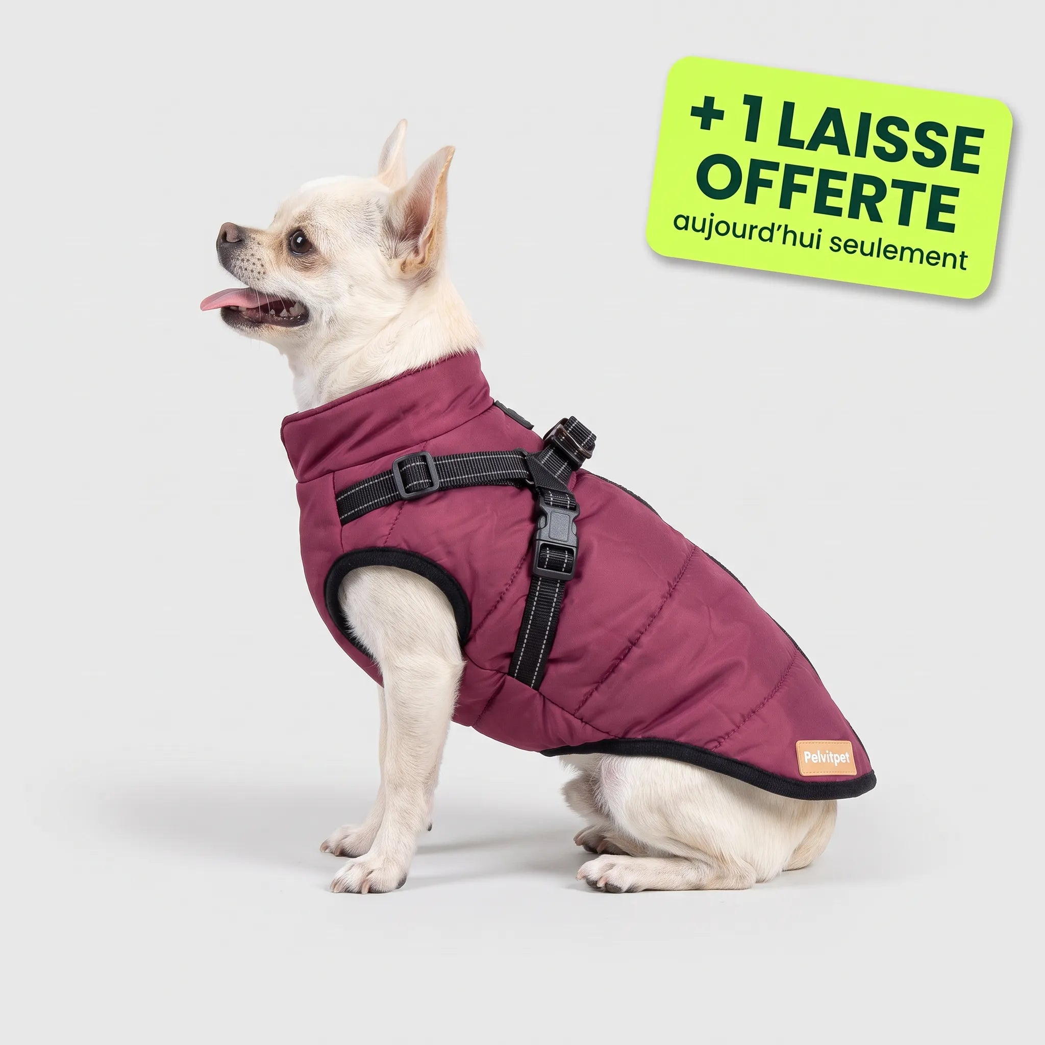 Pelux Polar™ — Le Manteau avec Harnais Intégré