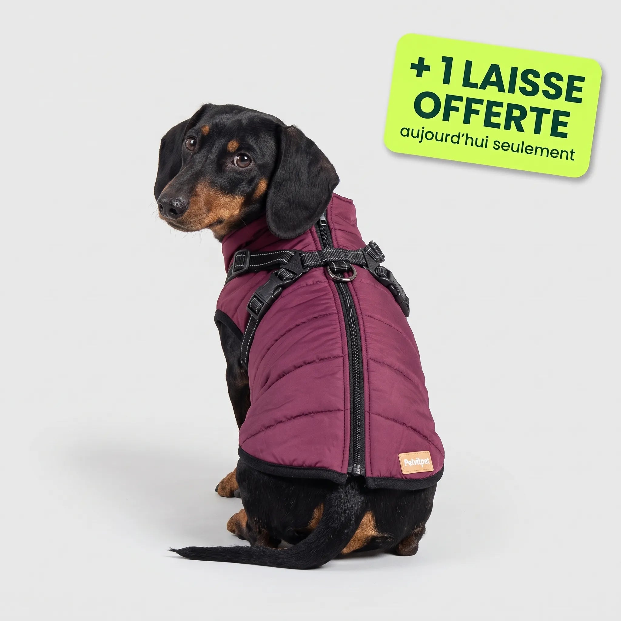 Pelux Polar™ — Le Manteau avec Harnais Intégré