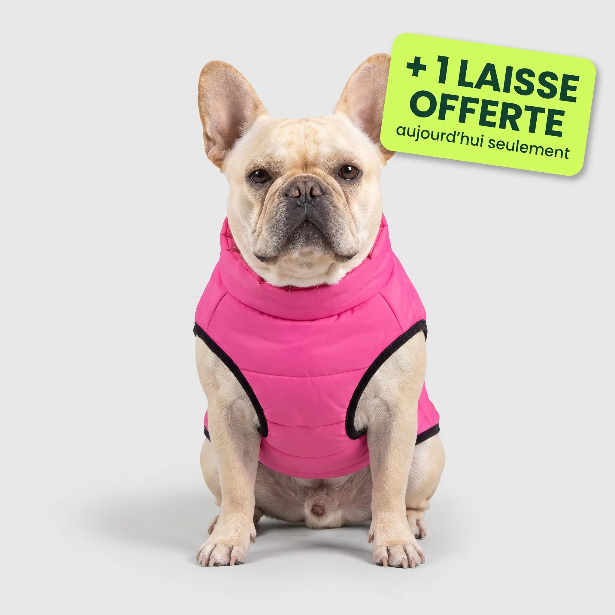 Pelux Polar™ — Le Manteau avec Harnais Intégré