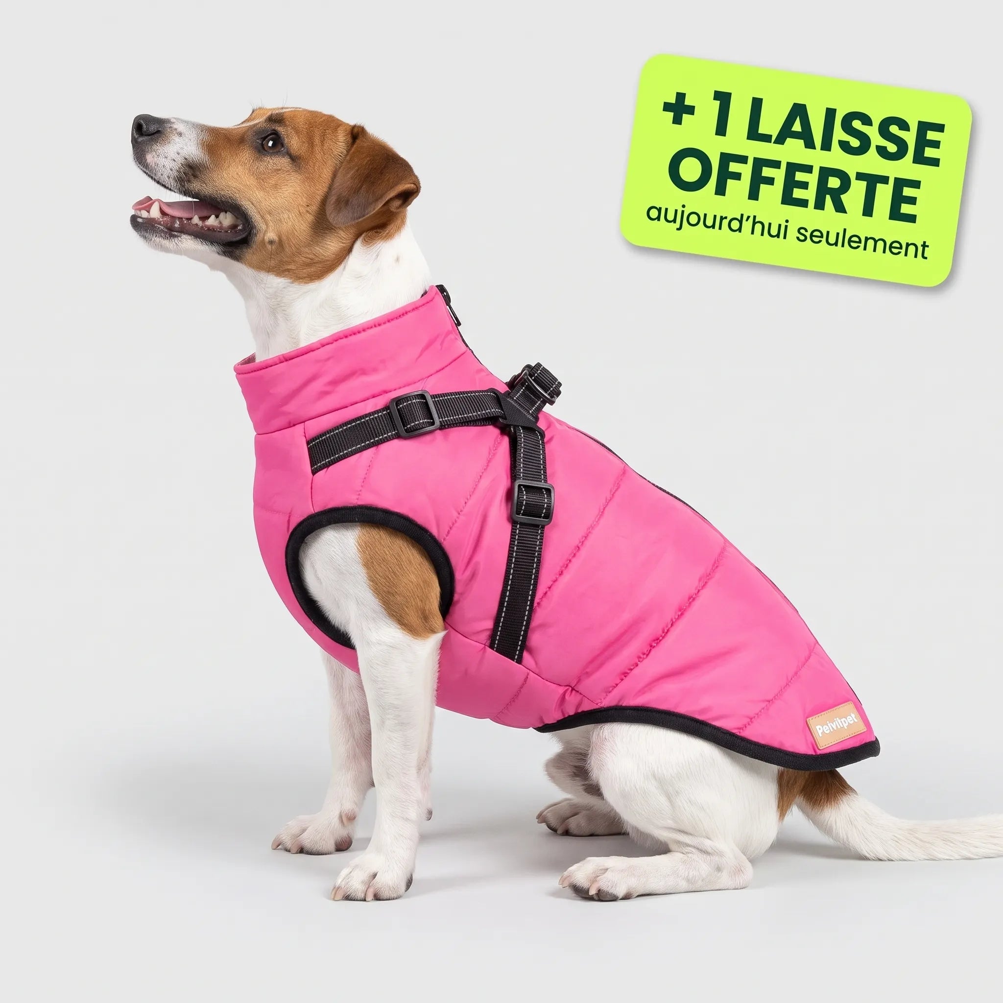 Pelux Polar™ — Le Manteau avec Harnais Intégré