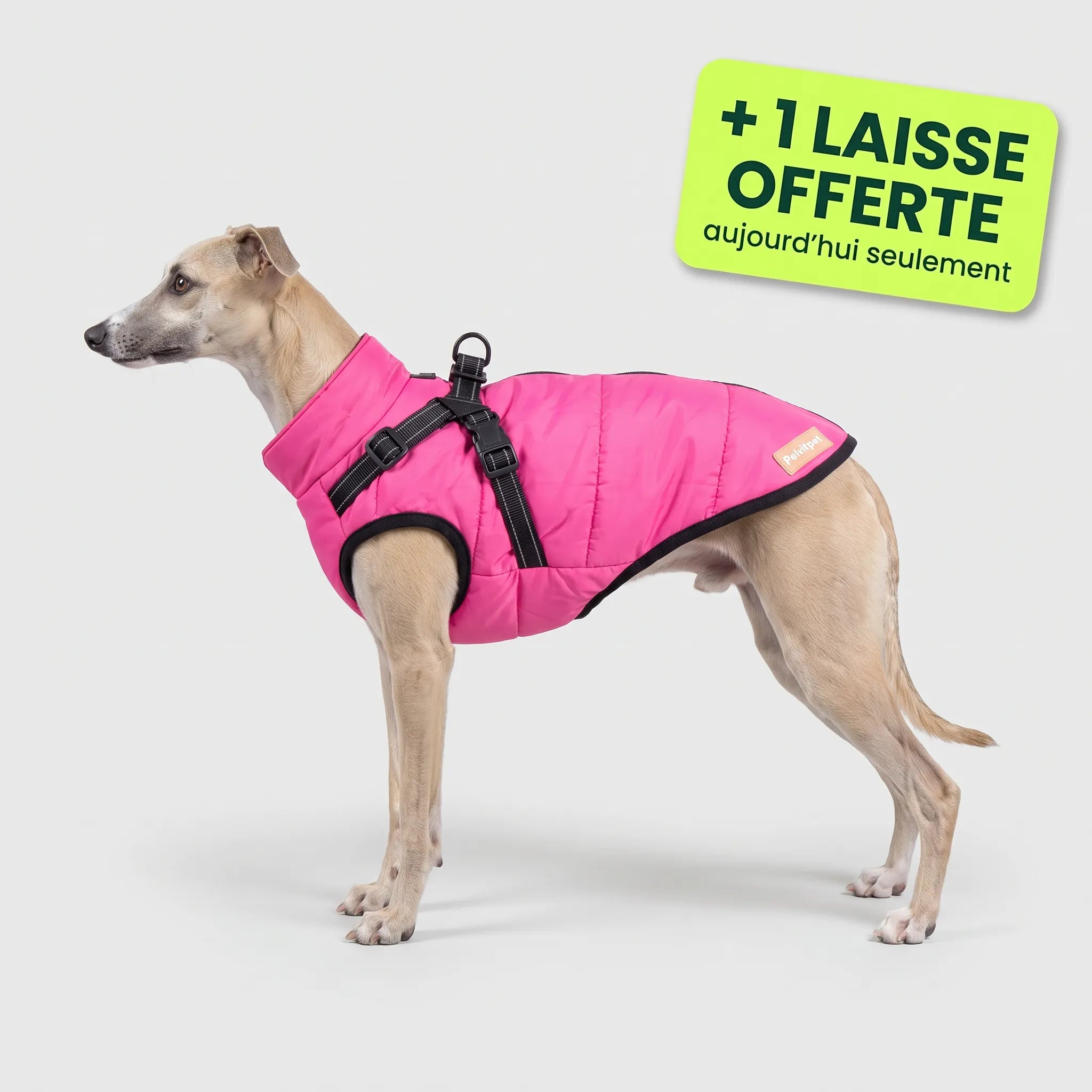 Pelux Polar™ — Le Manteau avec Harnais Intégré