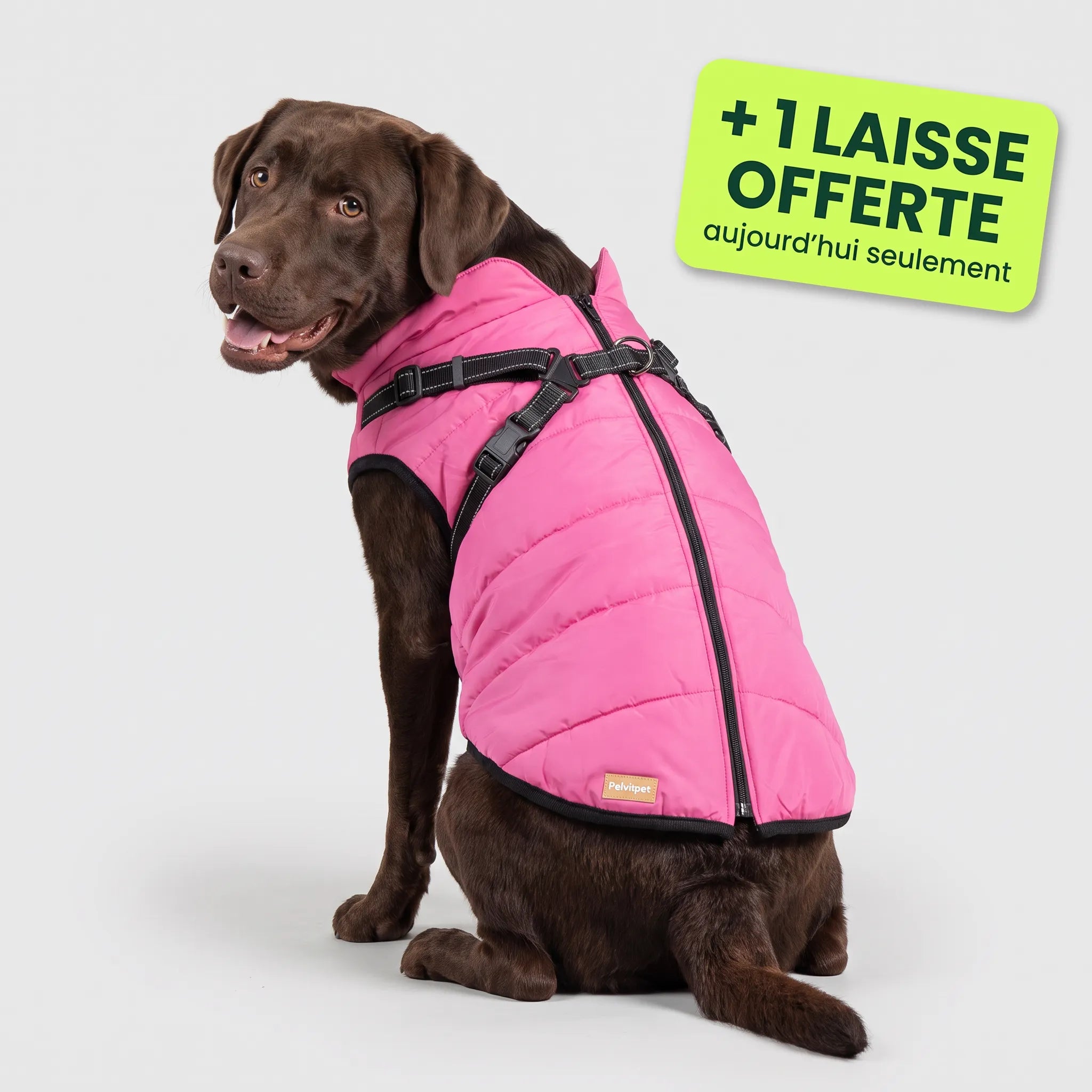 Pelux Polar™ — Le Manteau avec Harnais Intégré