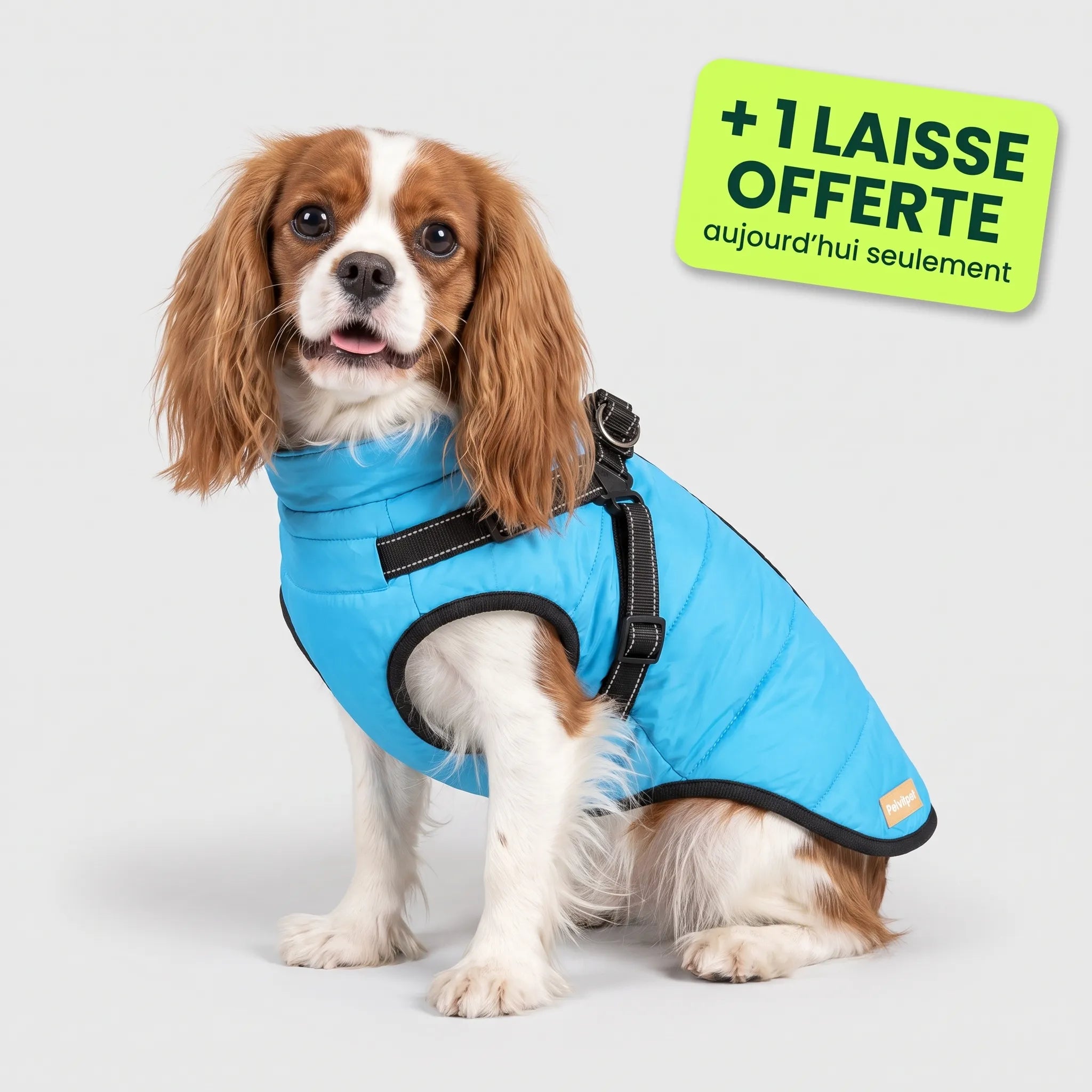 Pelux Polar™ — Le Manteau avec Harnais Intégré