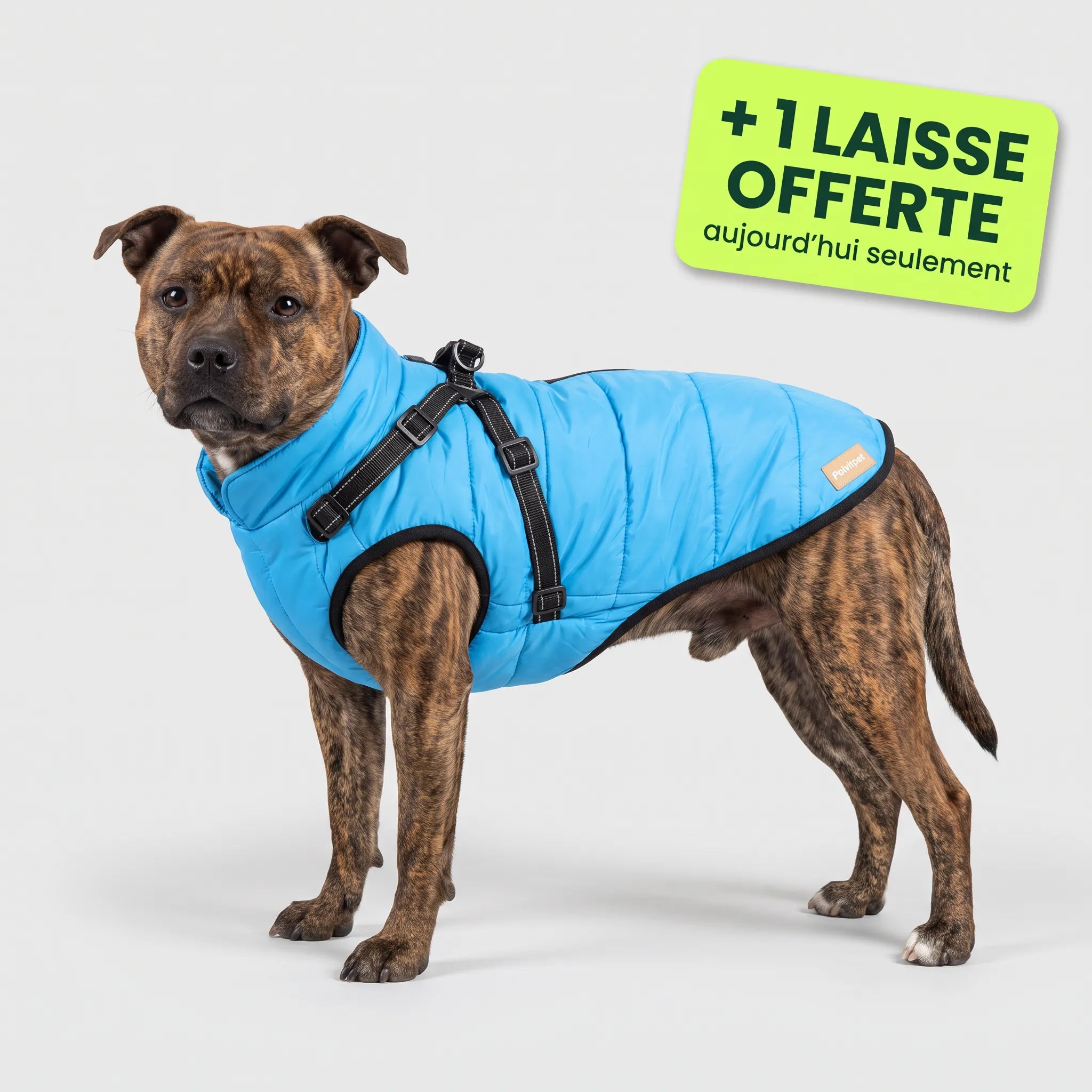 Pelux Polar™ — Le Manteau avec Harnais Intégré
