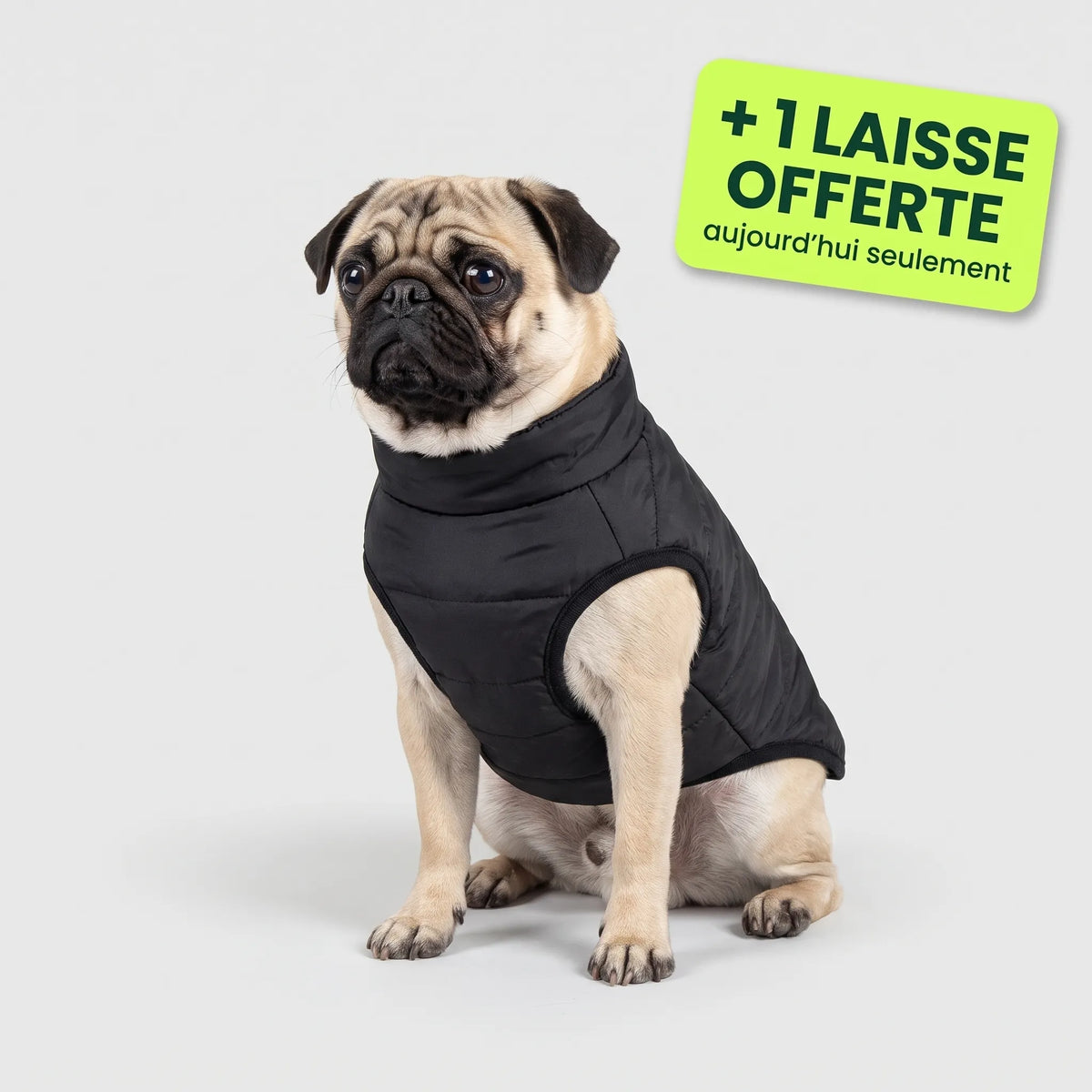 Pelux Polar™ — Le Manteau avec Harnais Intégré