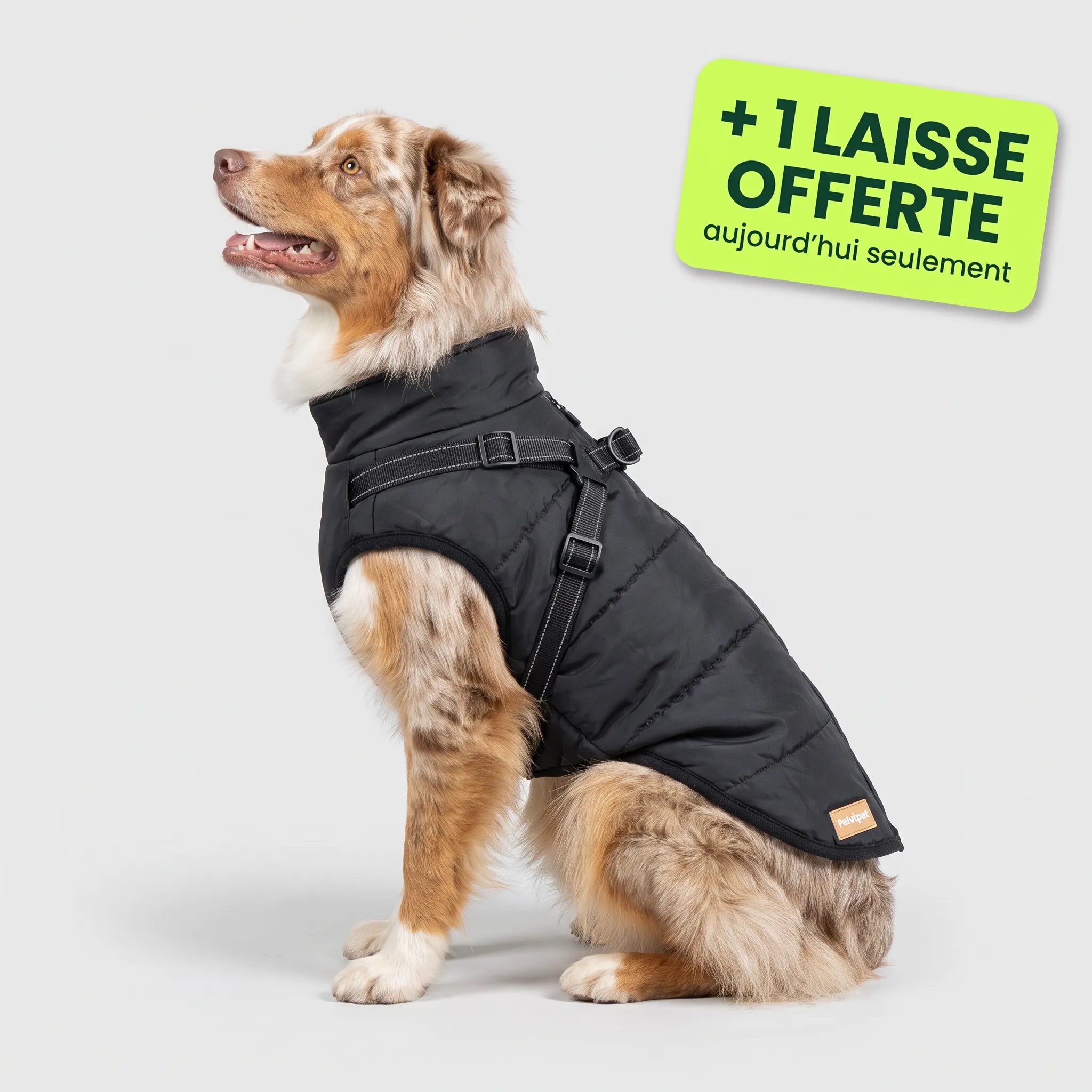 Pelux Polar™ — Le Manteau avec Harnais Intégré
