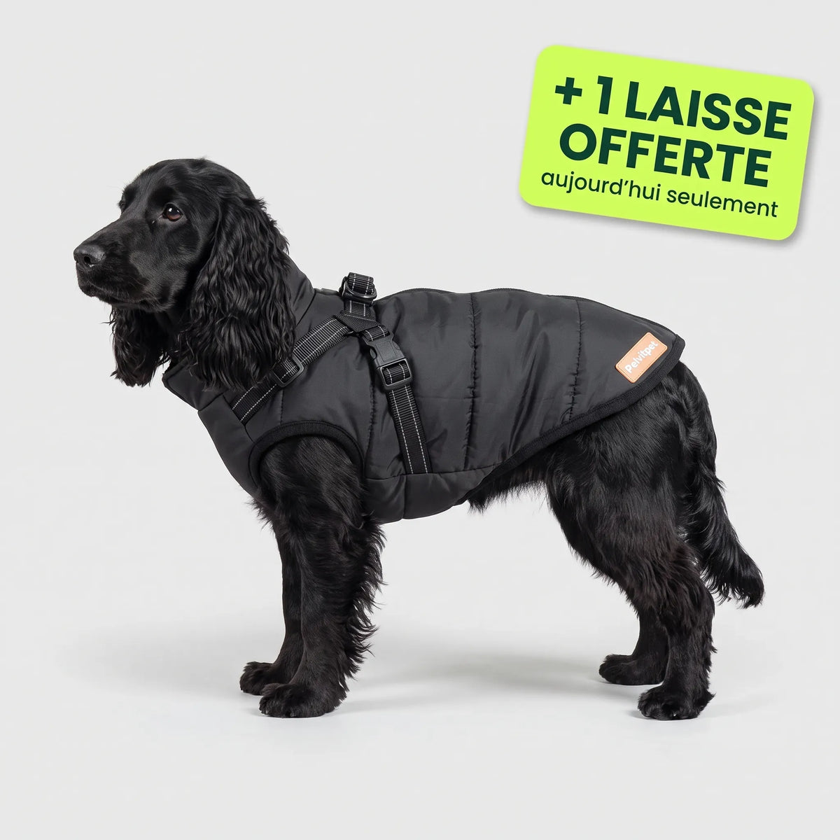 Pelux Polar™ — Le Manteau avec Harnais Intégré